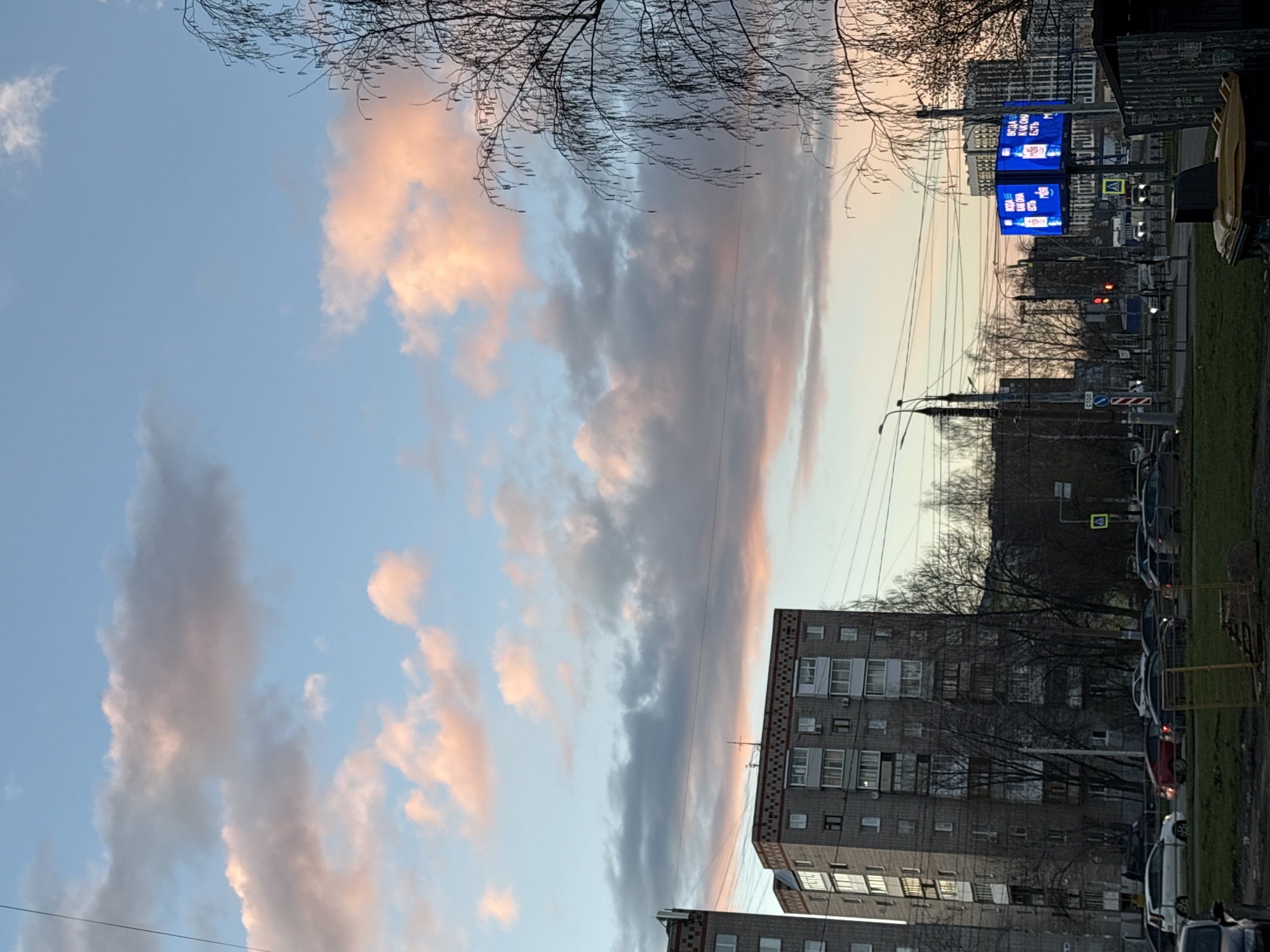 Twilight scenes and wet dog observed in Izhevsk