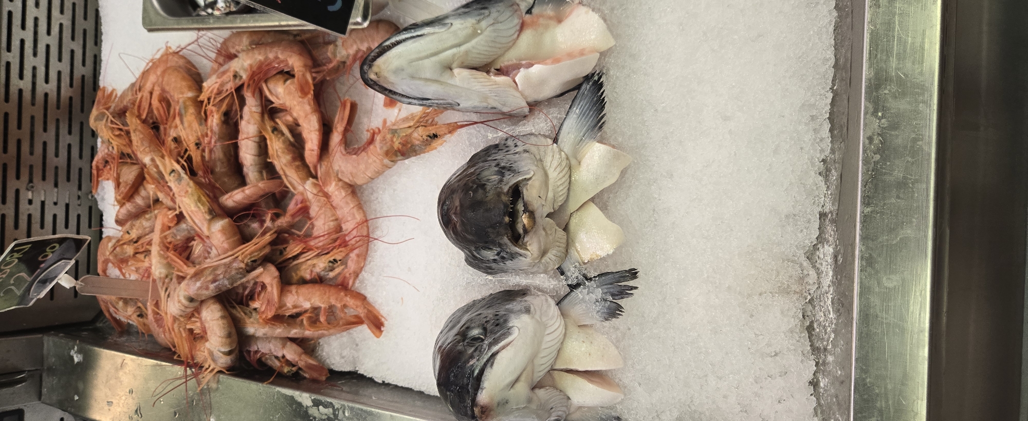 Seafood display with prawns and fish heads spotted in Budva