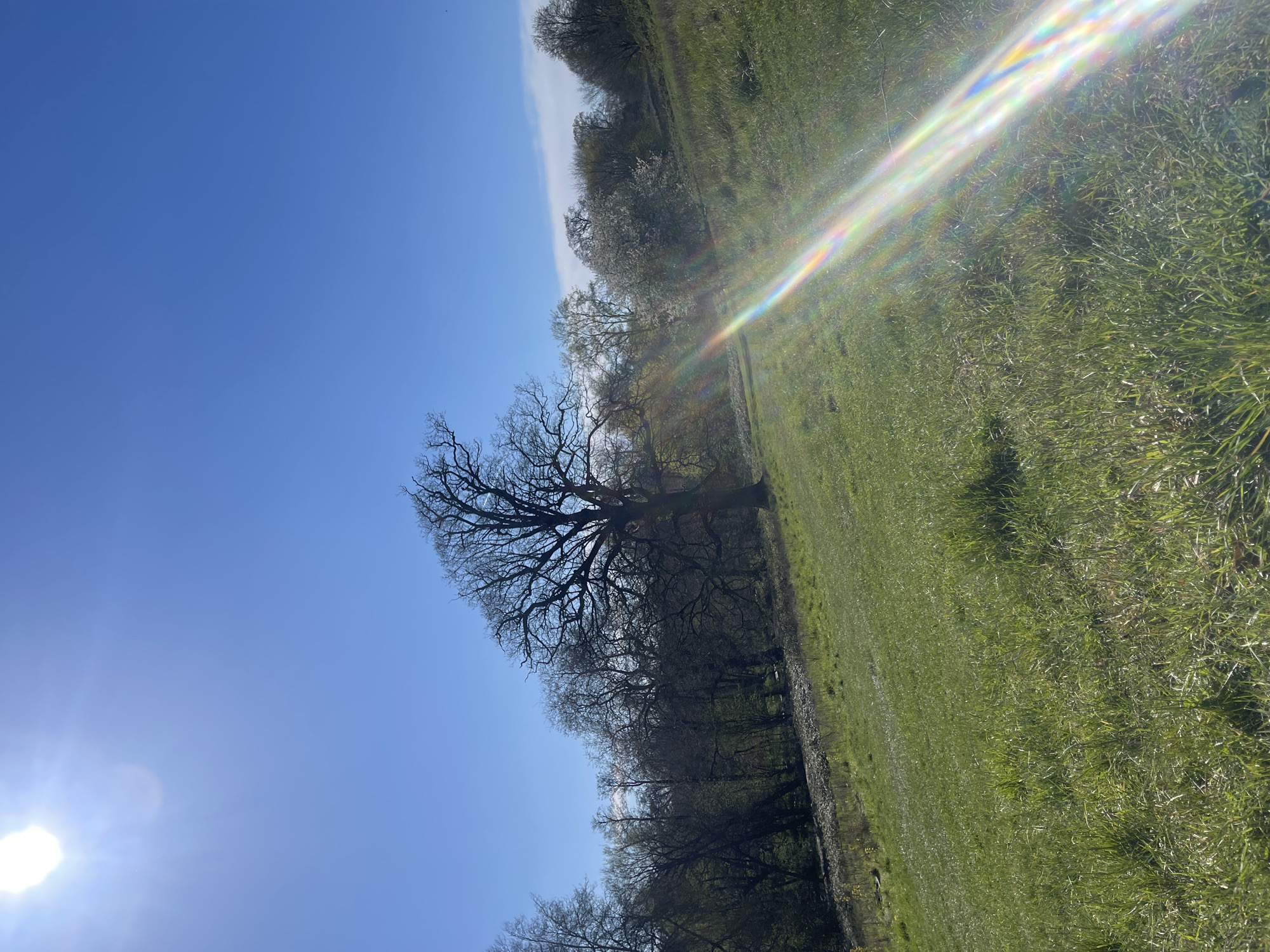 Spring day in Maidstone captures parks and seafood markets