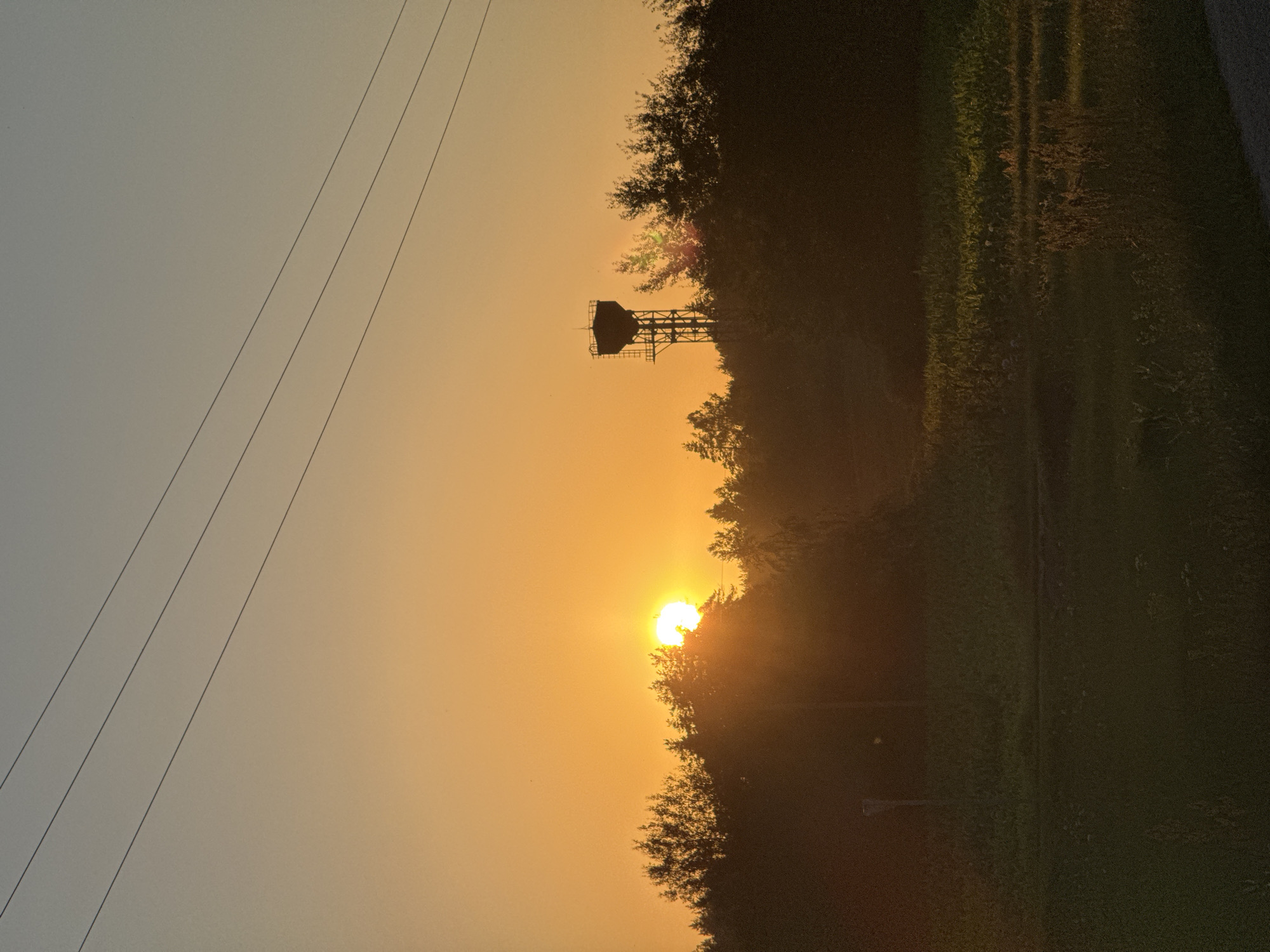 Orange sunset behind a treeline in rural Belarus