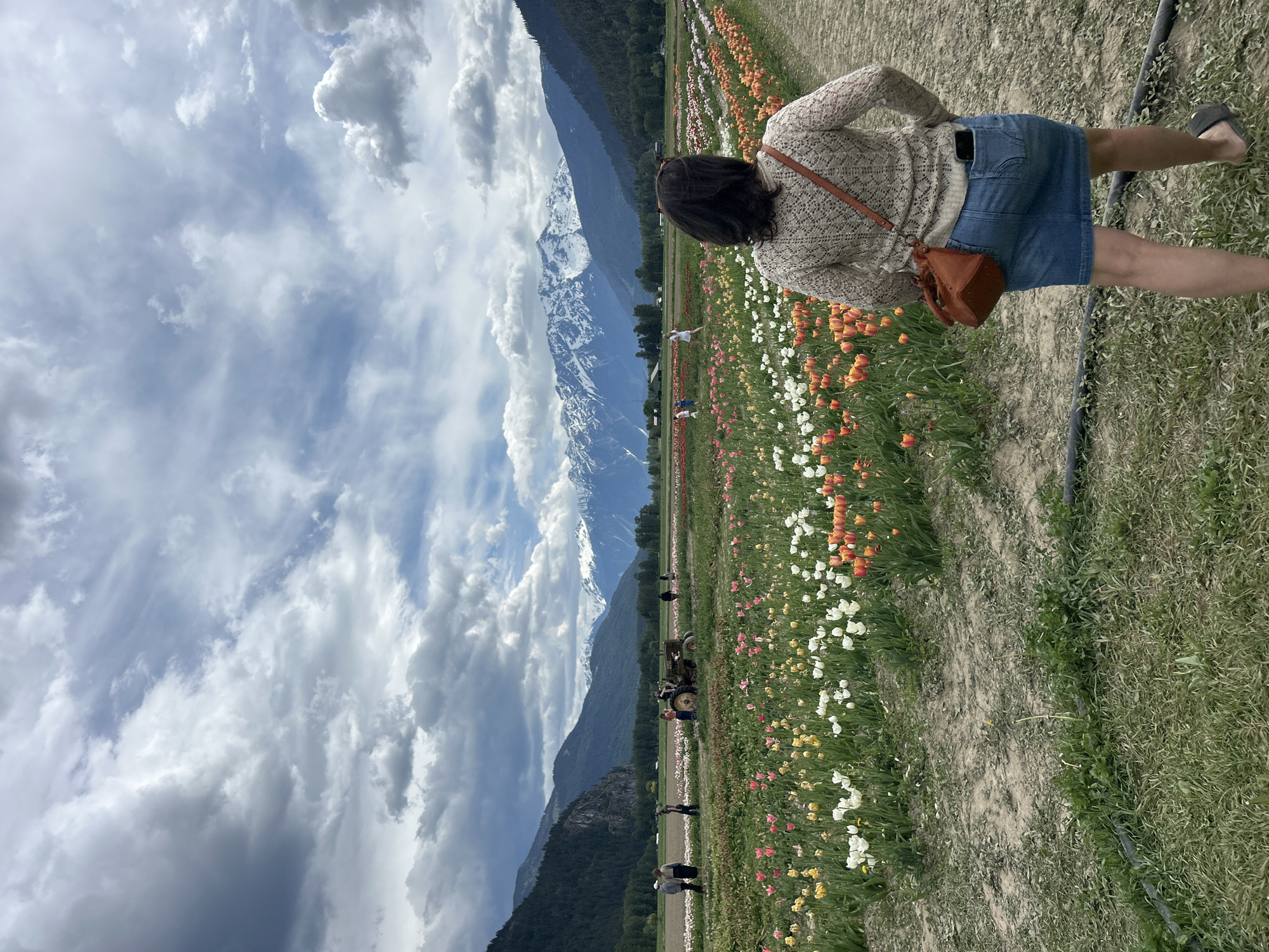 Woman visits tulip field in Pemberton Valley, BC