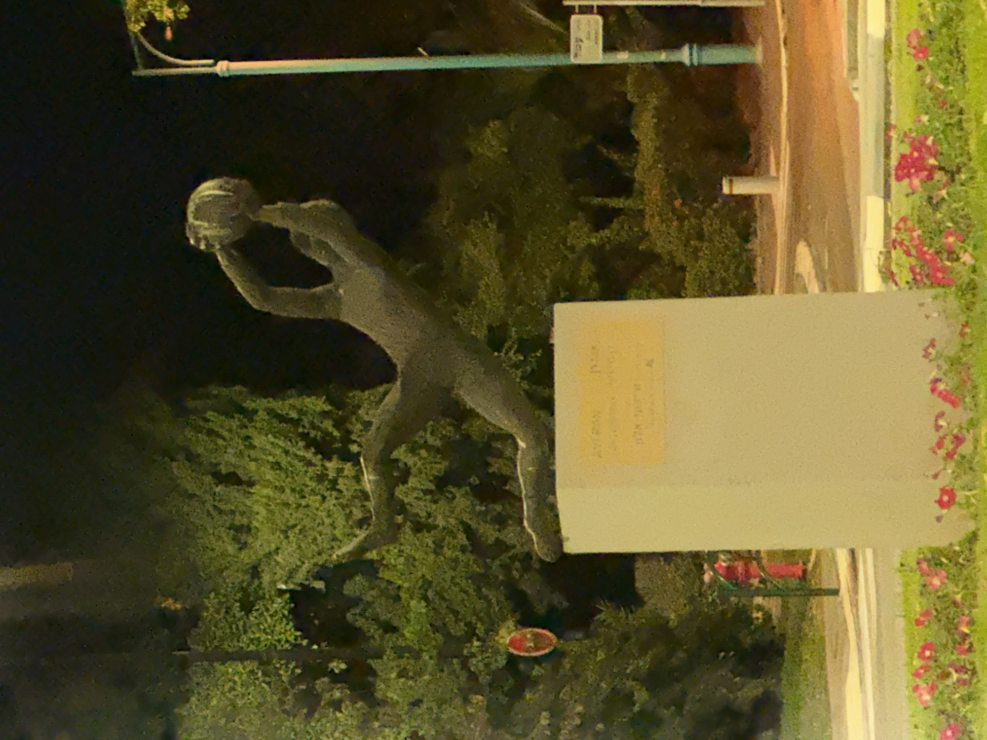 Nighttime Haifa: a roadside statue and a drive through the city