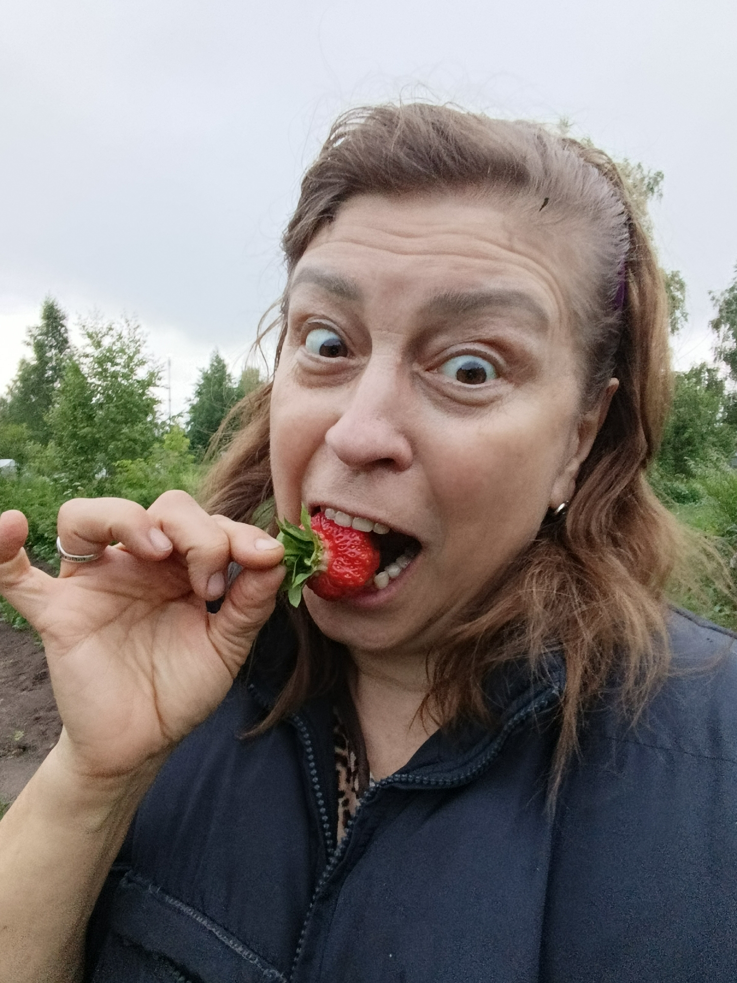 Strawberry picking and garden tour in Verеya, Russia