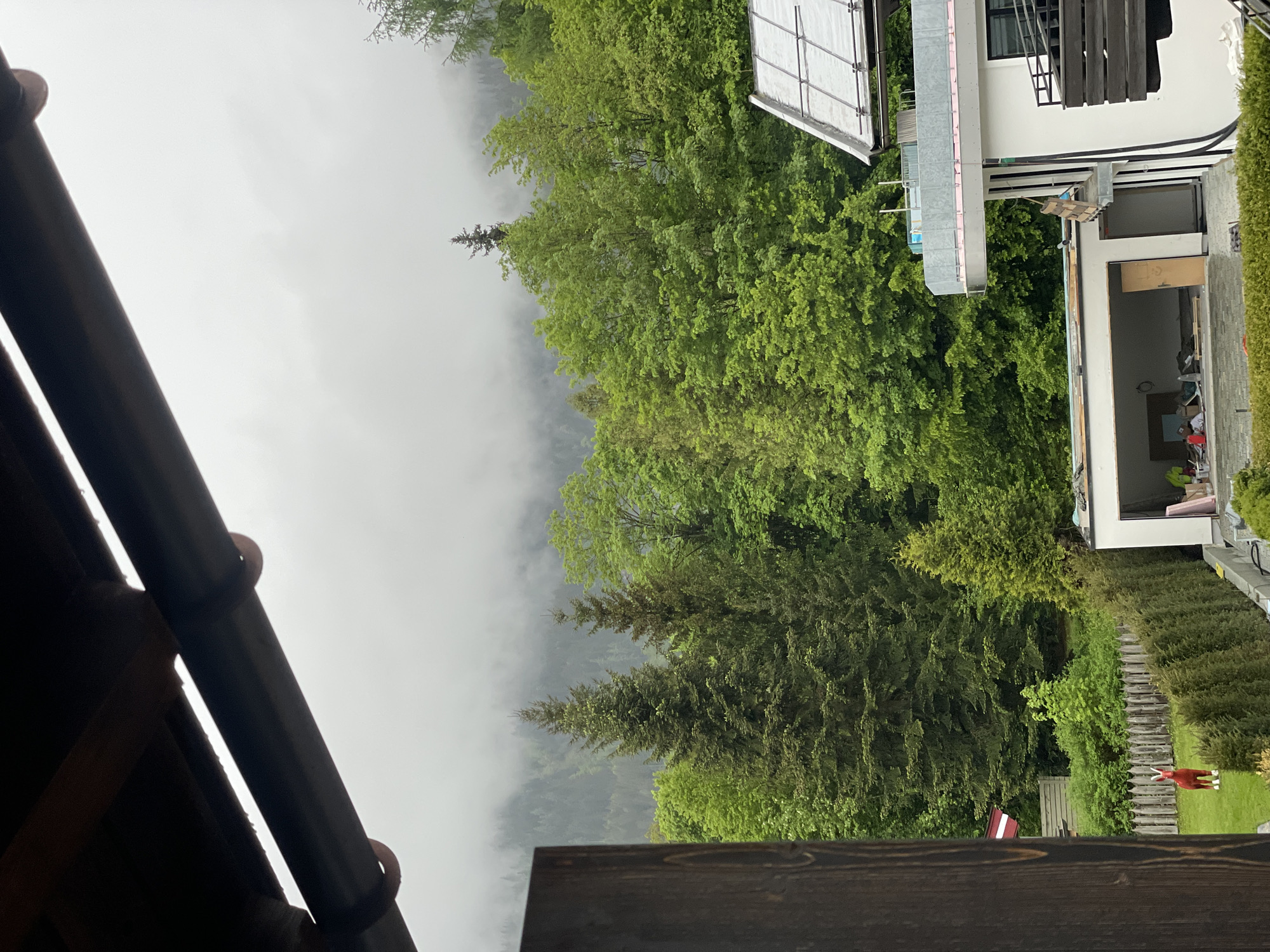 Residential scene photographed from house with brown roof