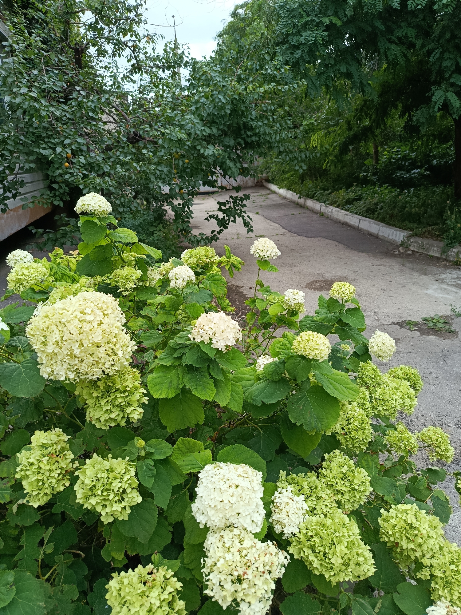 Saratov, Russia