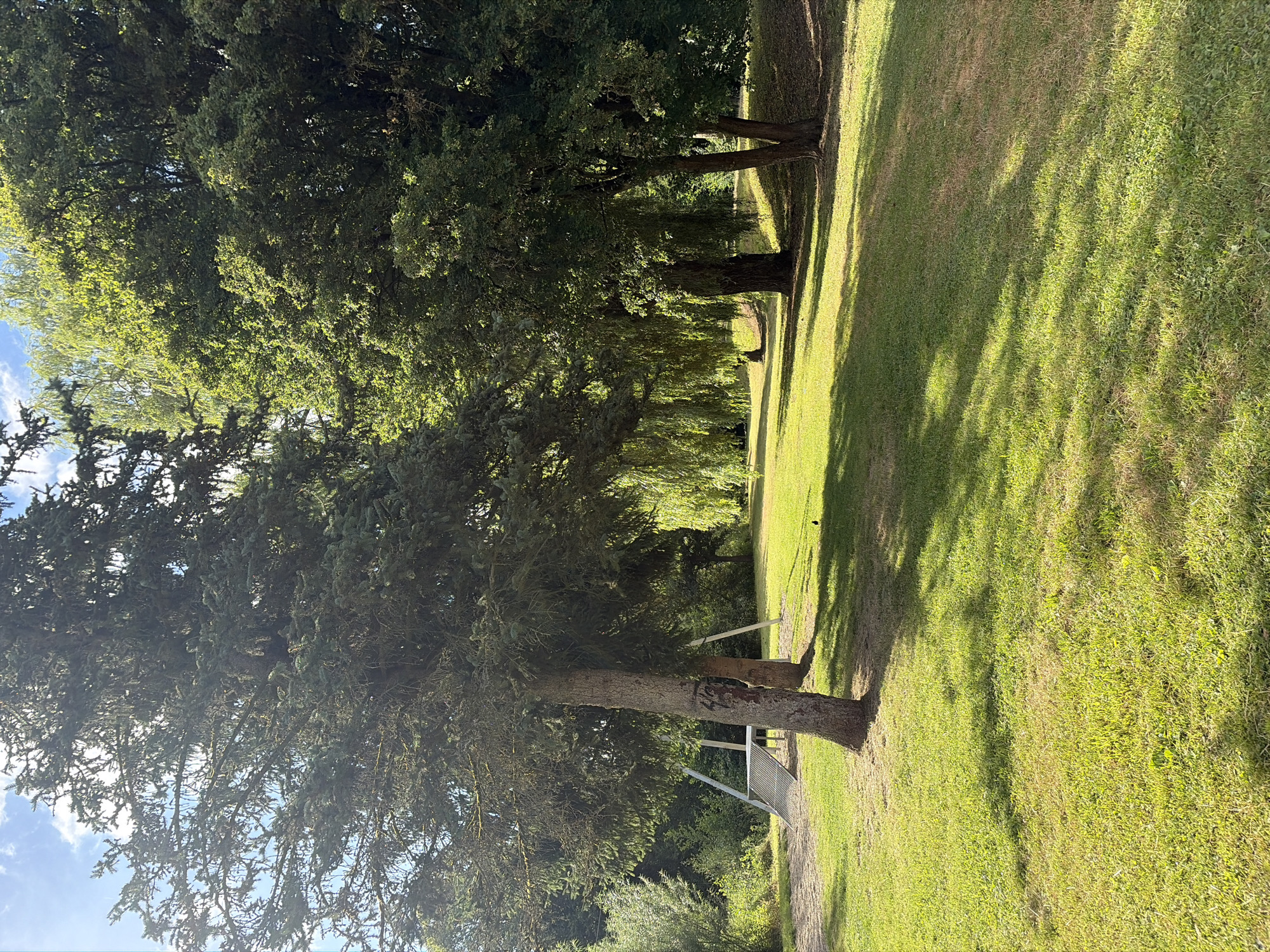 Park stroll captures greenery, garden figures, and shifting skies