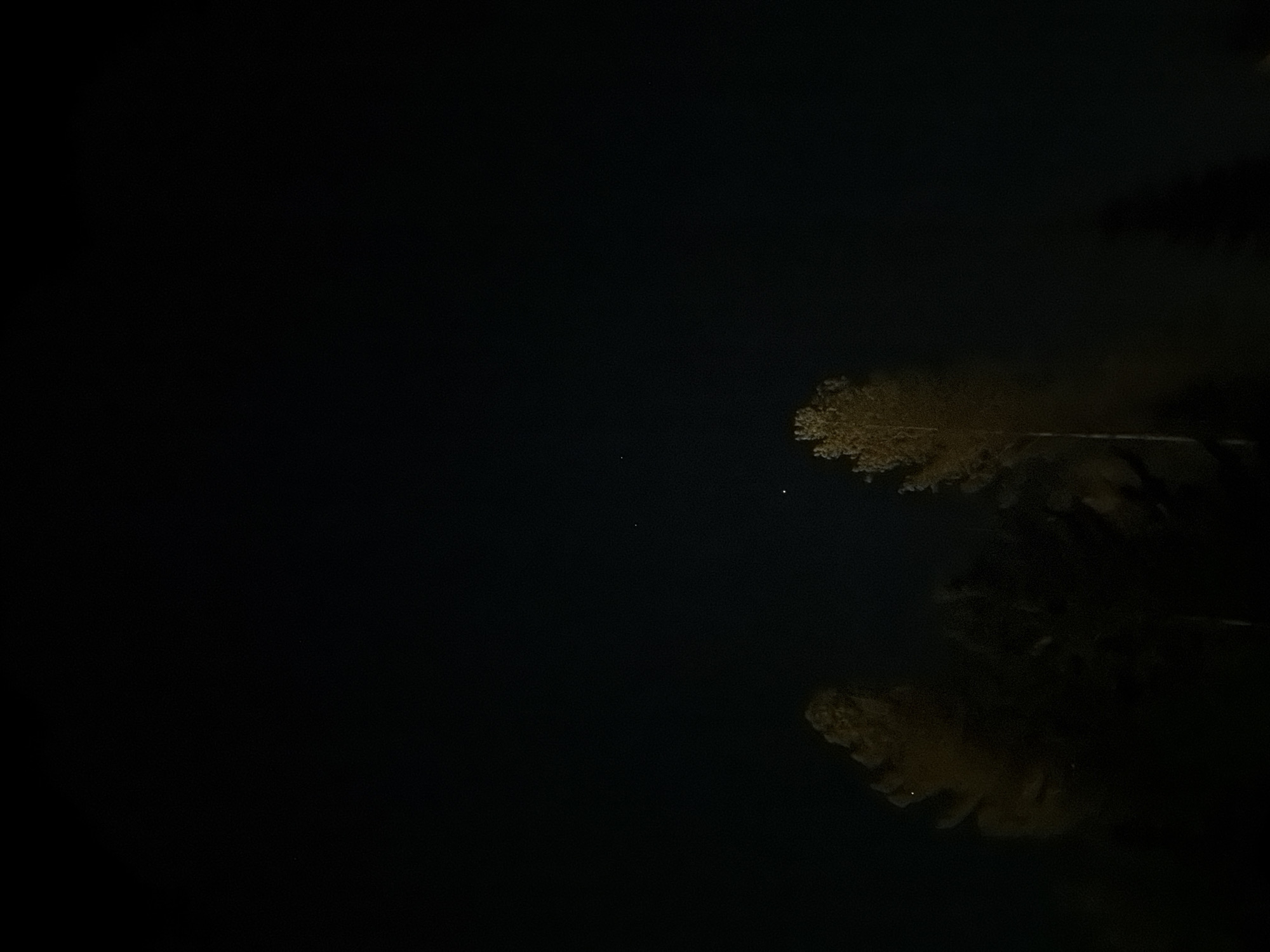 Tree reflection captured in nighttime scene in Озёрное, Russia