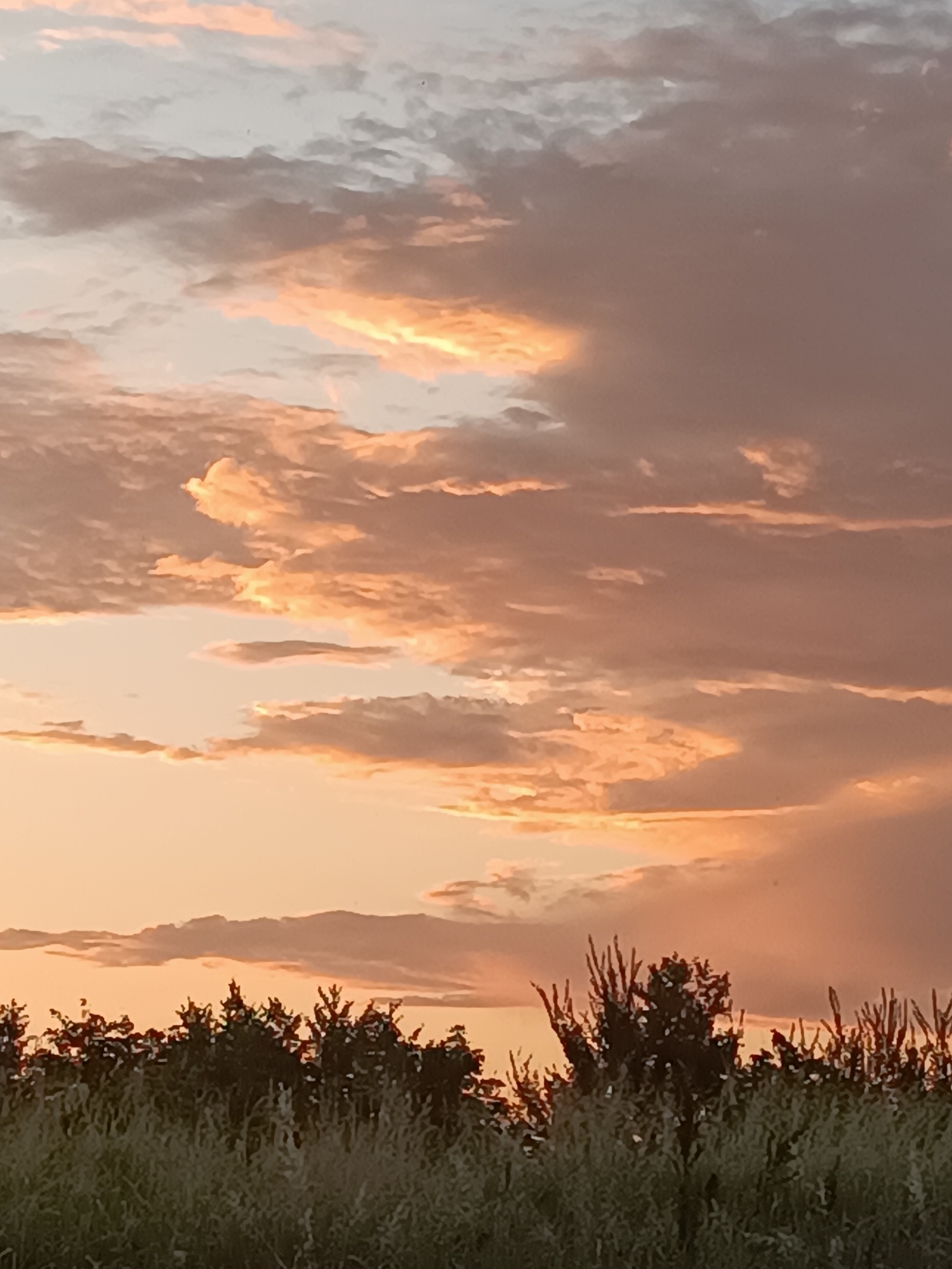 Sunset over harvested fields in rural Viadana, Italy