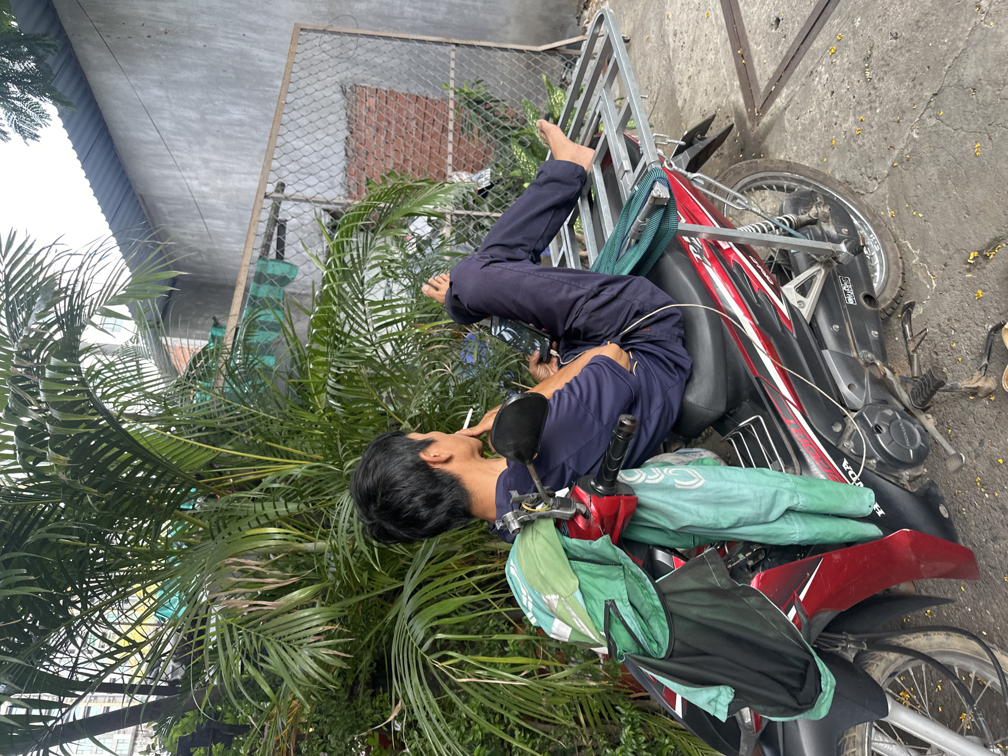 Morning urban scenes documented across Ho Chi Minh City