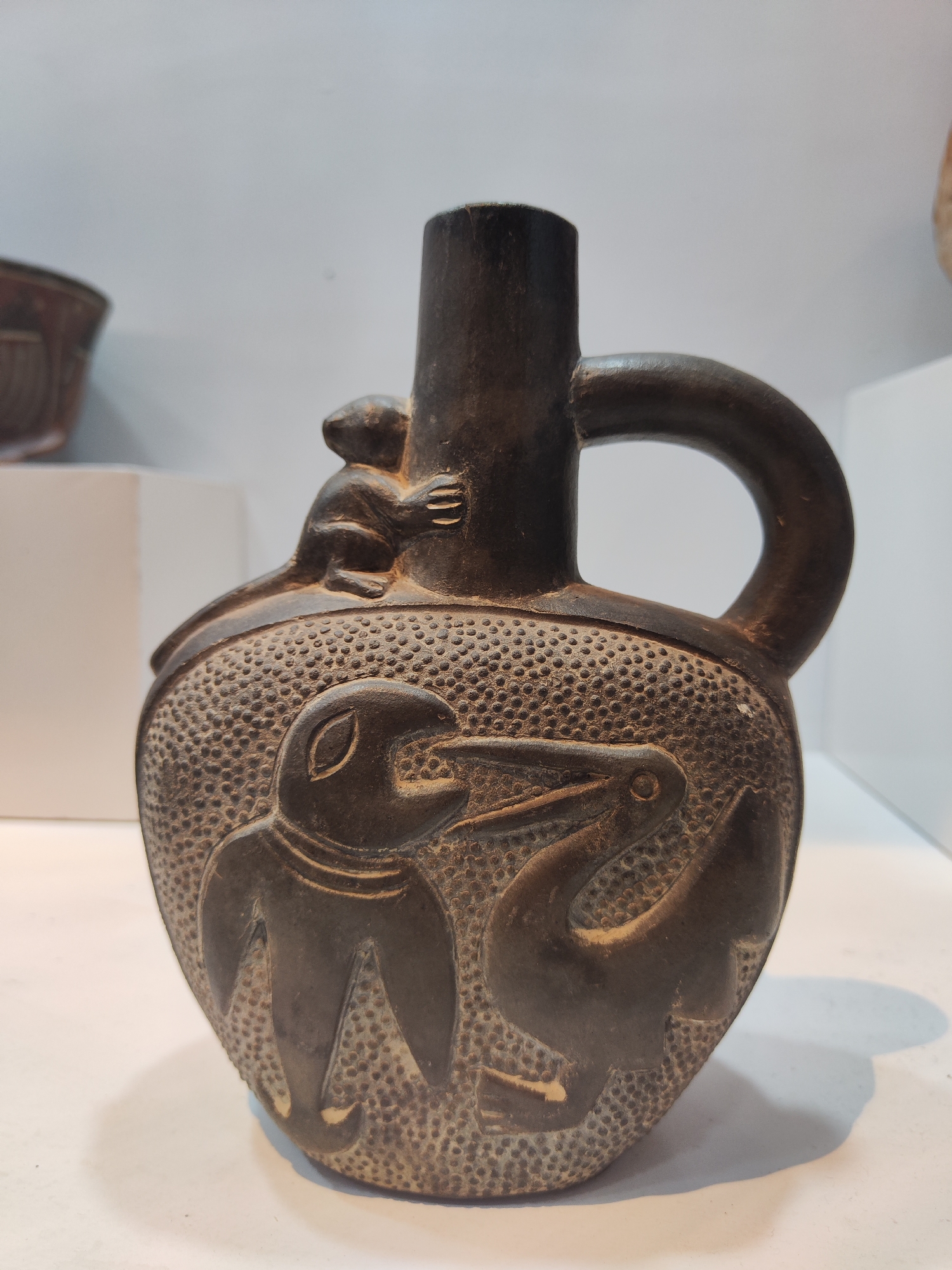 Tourist explores ancient Peruvian artifacts at Cuzco museum