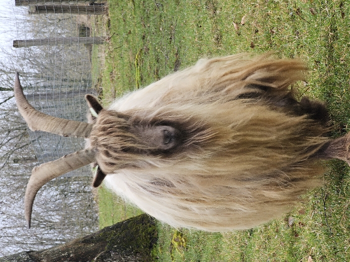 Visitor explores Luxembourg animal park, documents wildlife and playground