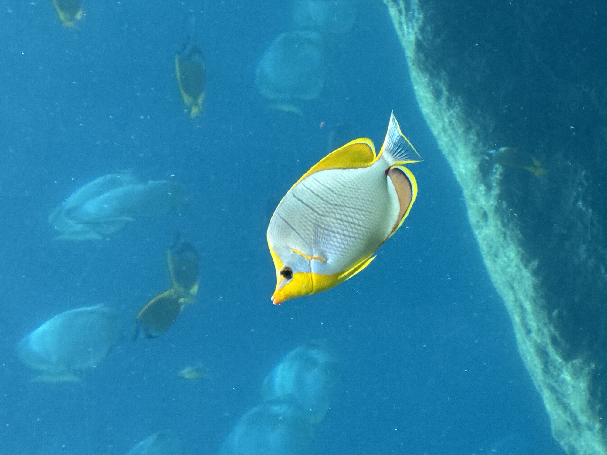 Aquarium visit documented in Serik, Turkey featuring diverse marine life