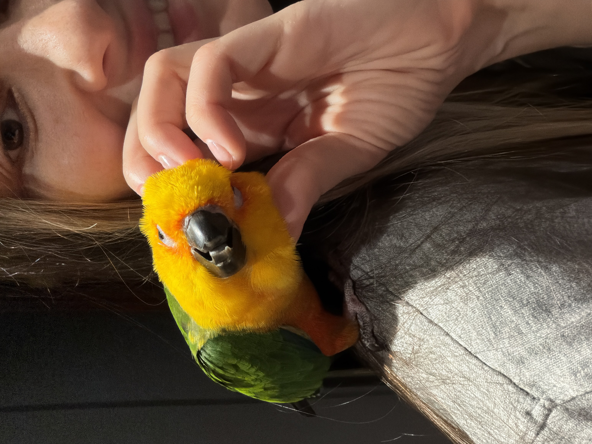 Woman plays with colorful parrot, takes selfies in Khimki