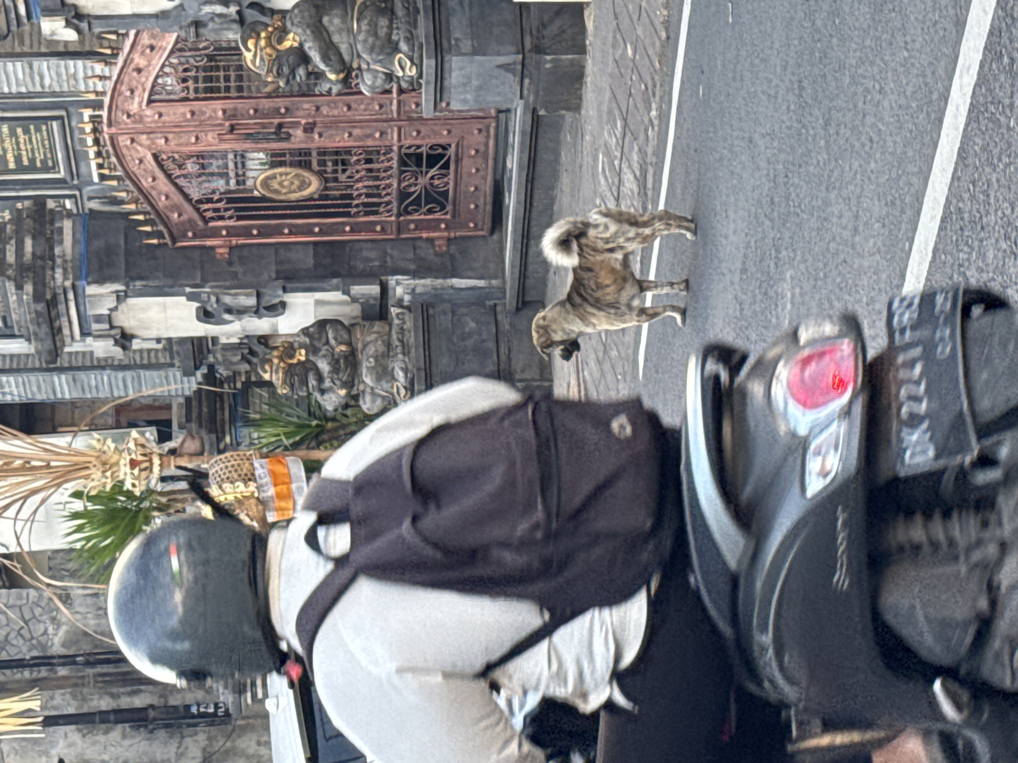 Everyday street life in Kuta, Bali