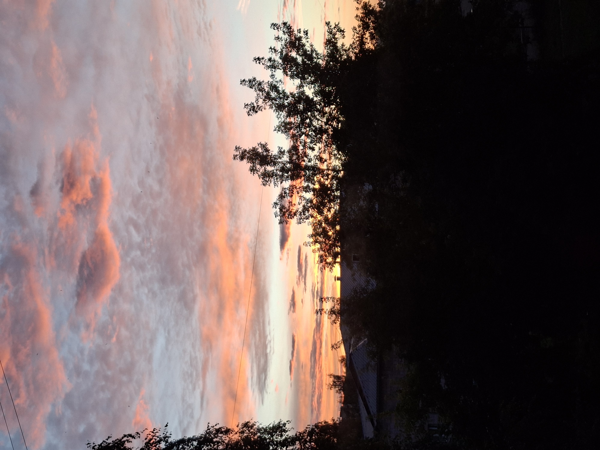 Pink hollyhocks and a vivid sunset over Murom