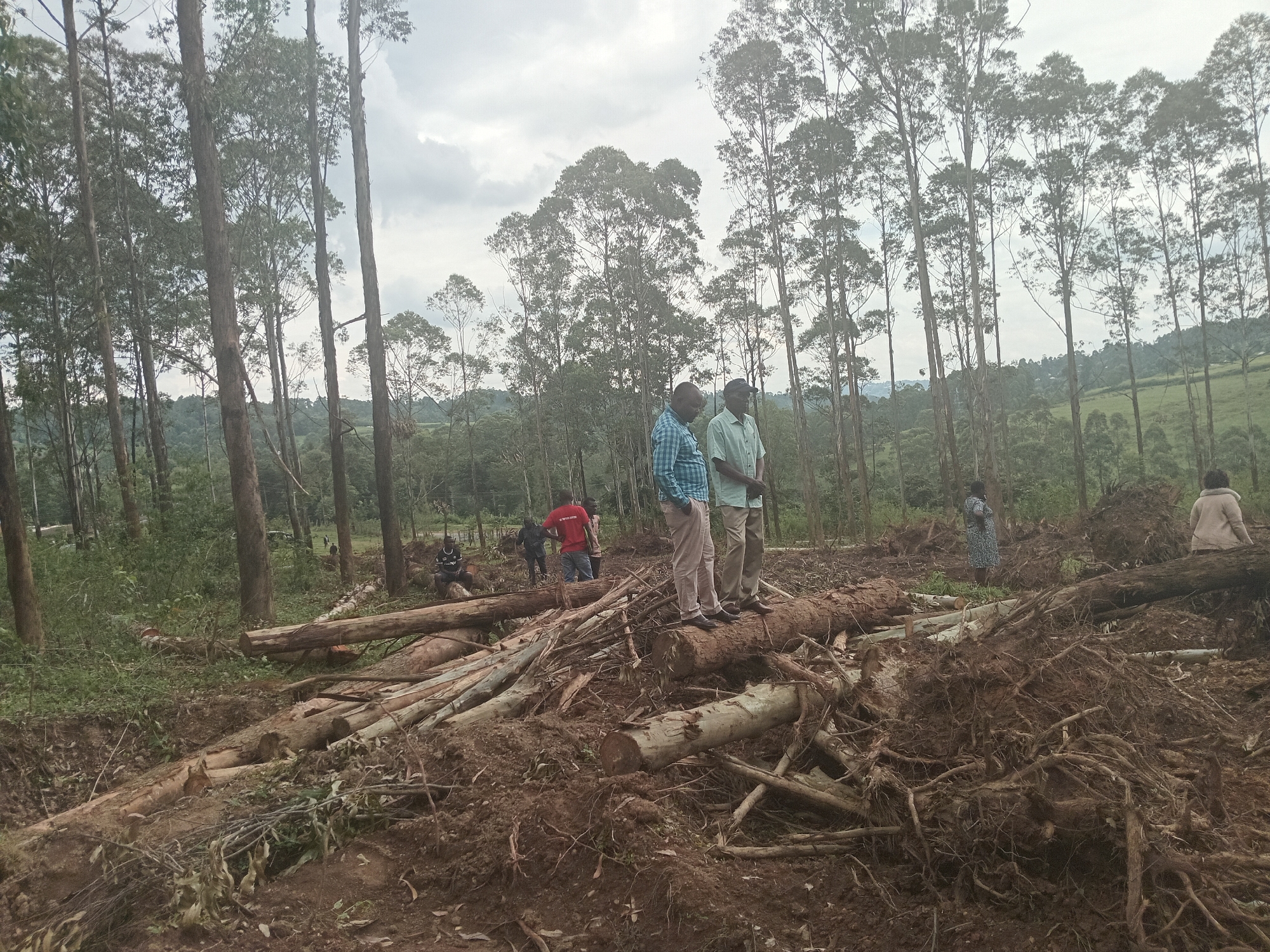 Group gathers at active deforestation site in Kenya's Moticho ward