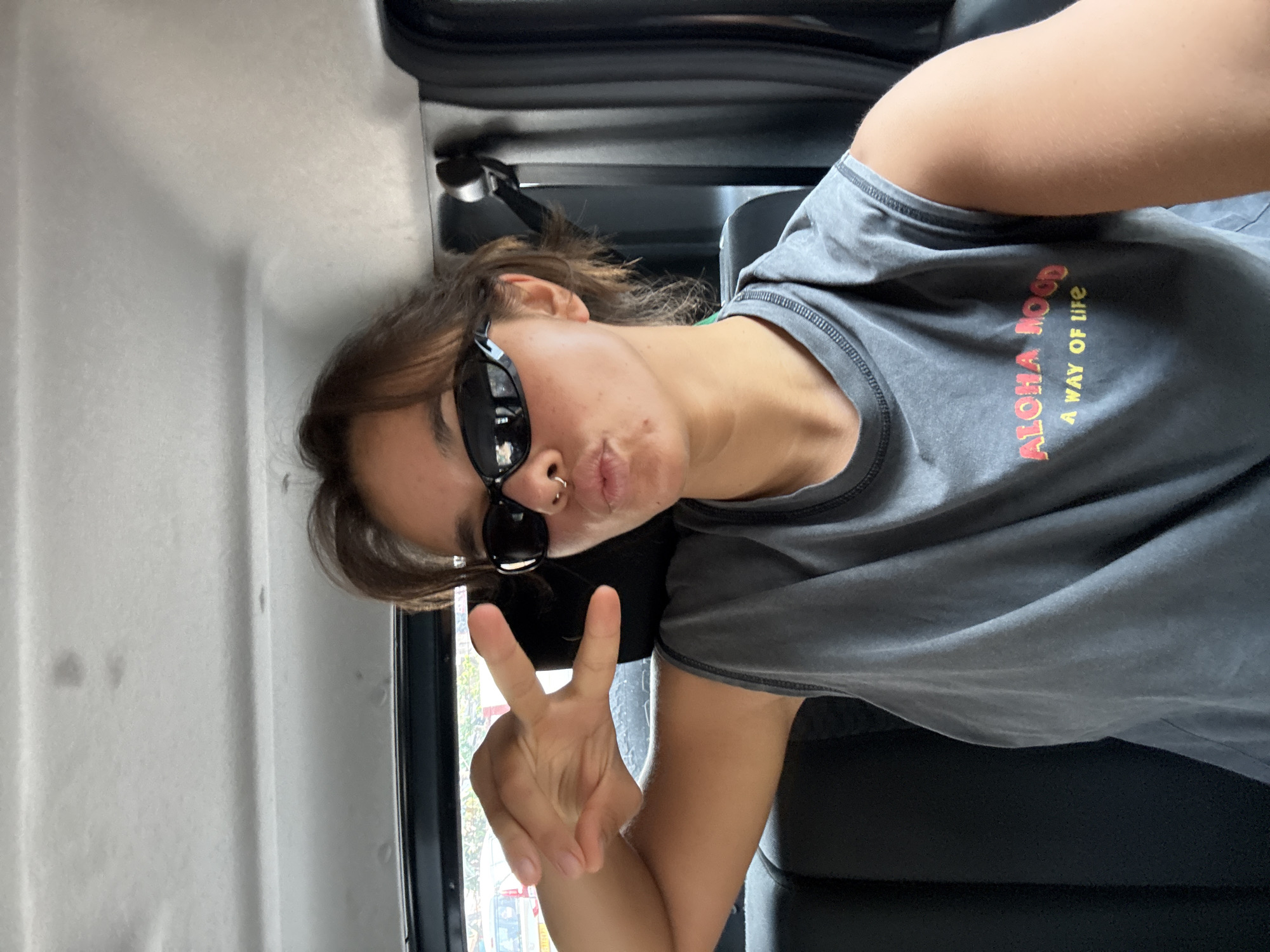 Vehicle passenger spotted in Reis Magos on sunny morning