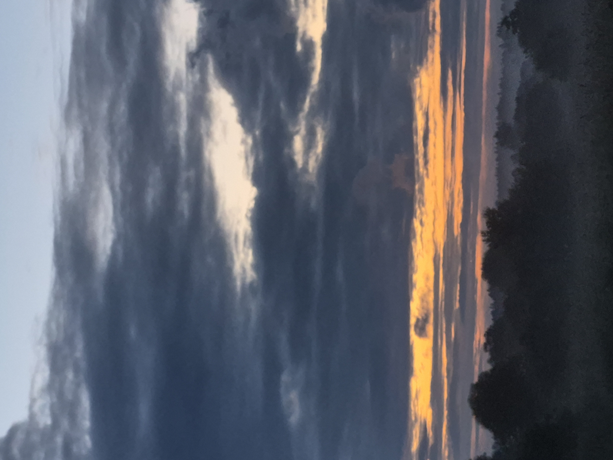 Twilight skies and misty forests at the edge of an Estonian night