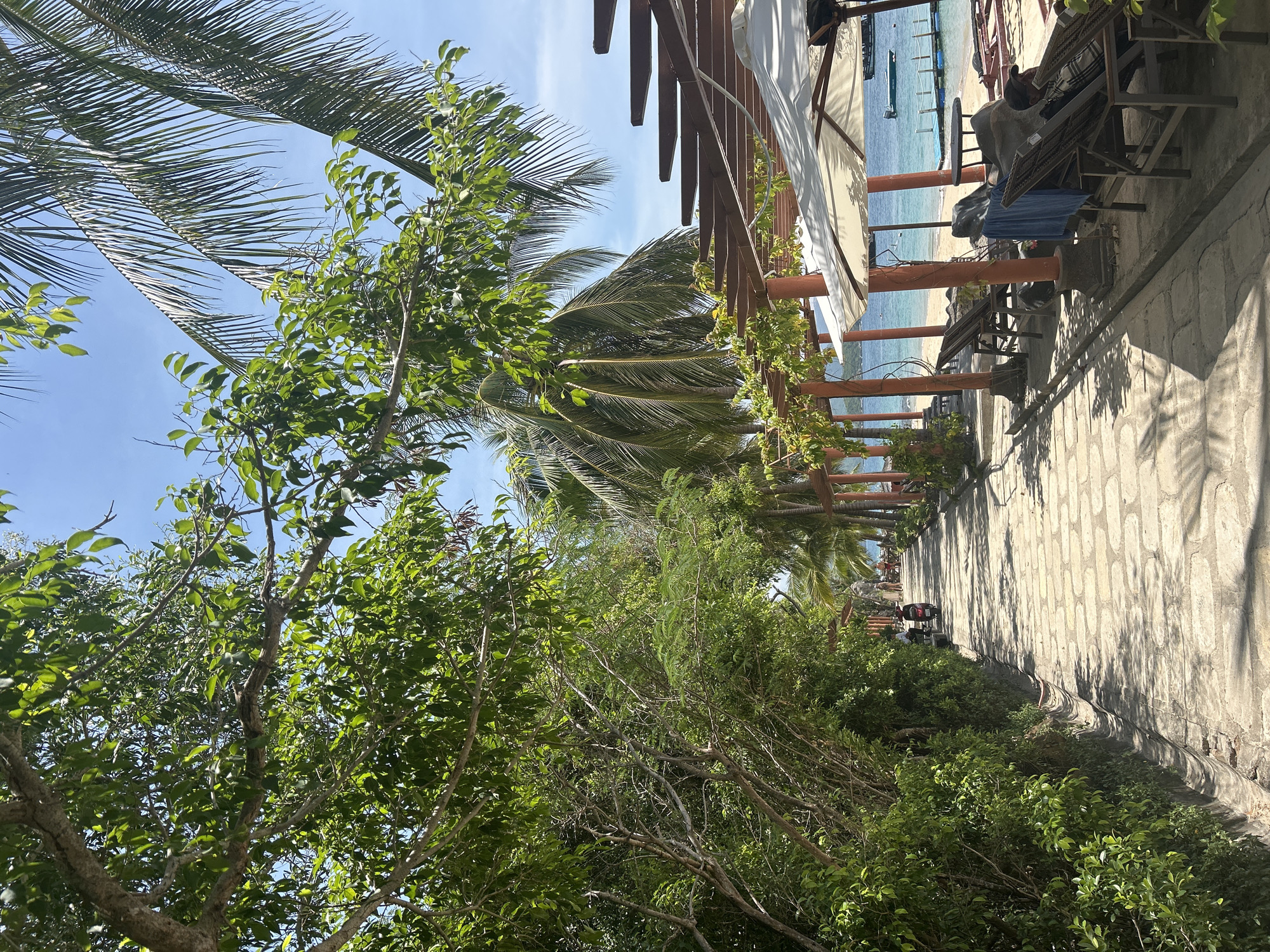 Sunny morning along Nha Trang's palm-lined beachfront