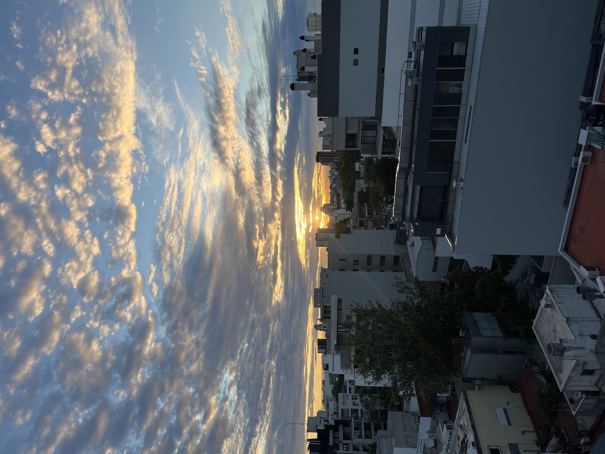 Buenos Aires evening: sunset cityscape and curious cat captured
