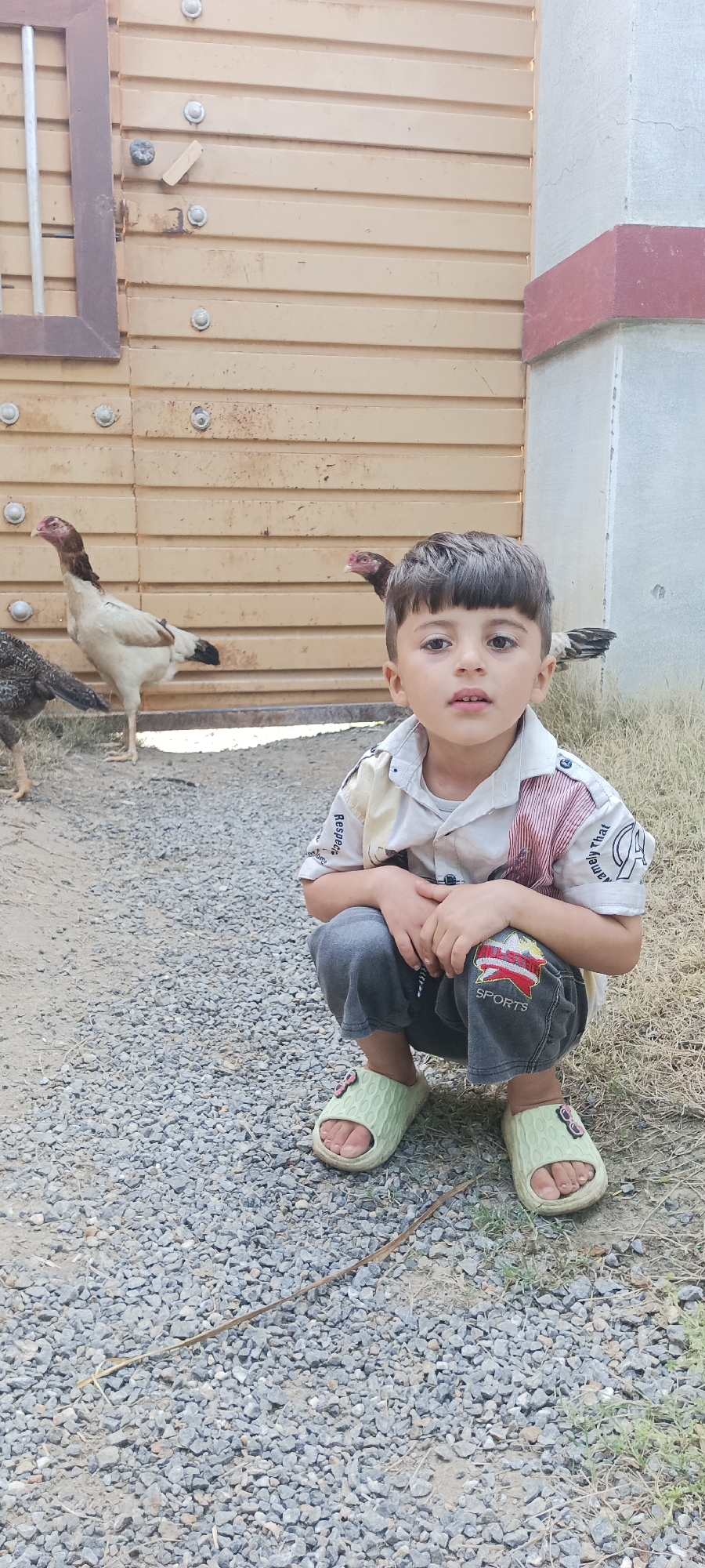 Rural daily life documented in Pakistani village courtyard