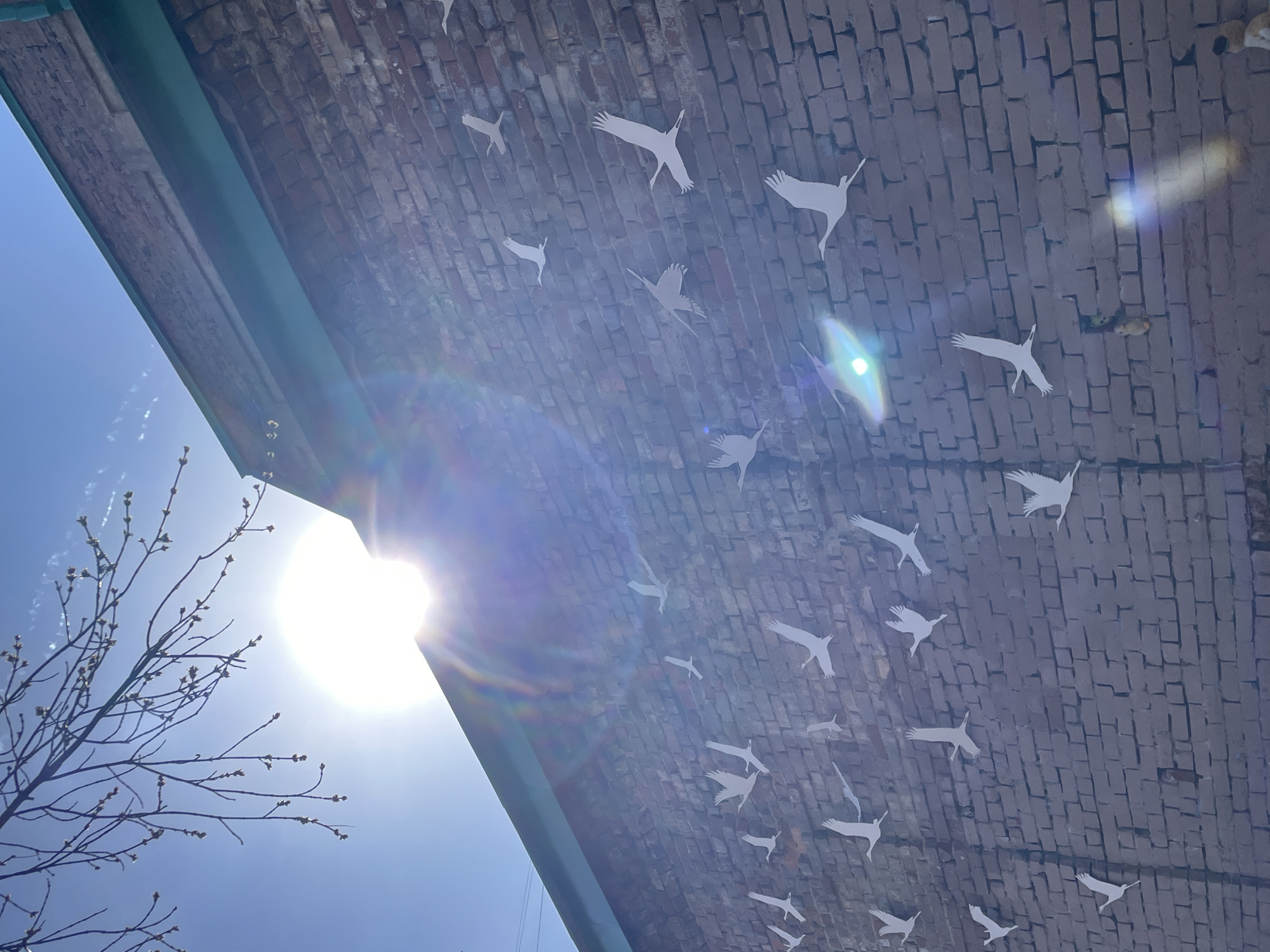 Musical instruments and bird art installations spotted in Yekaterinburg
