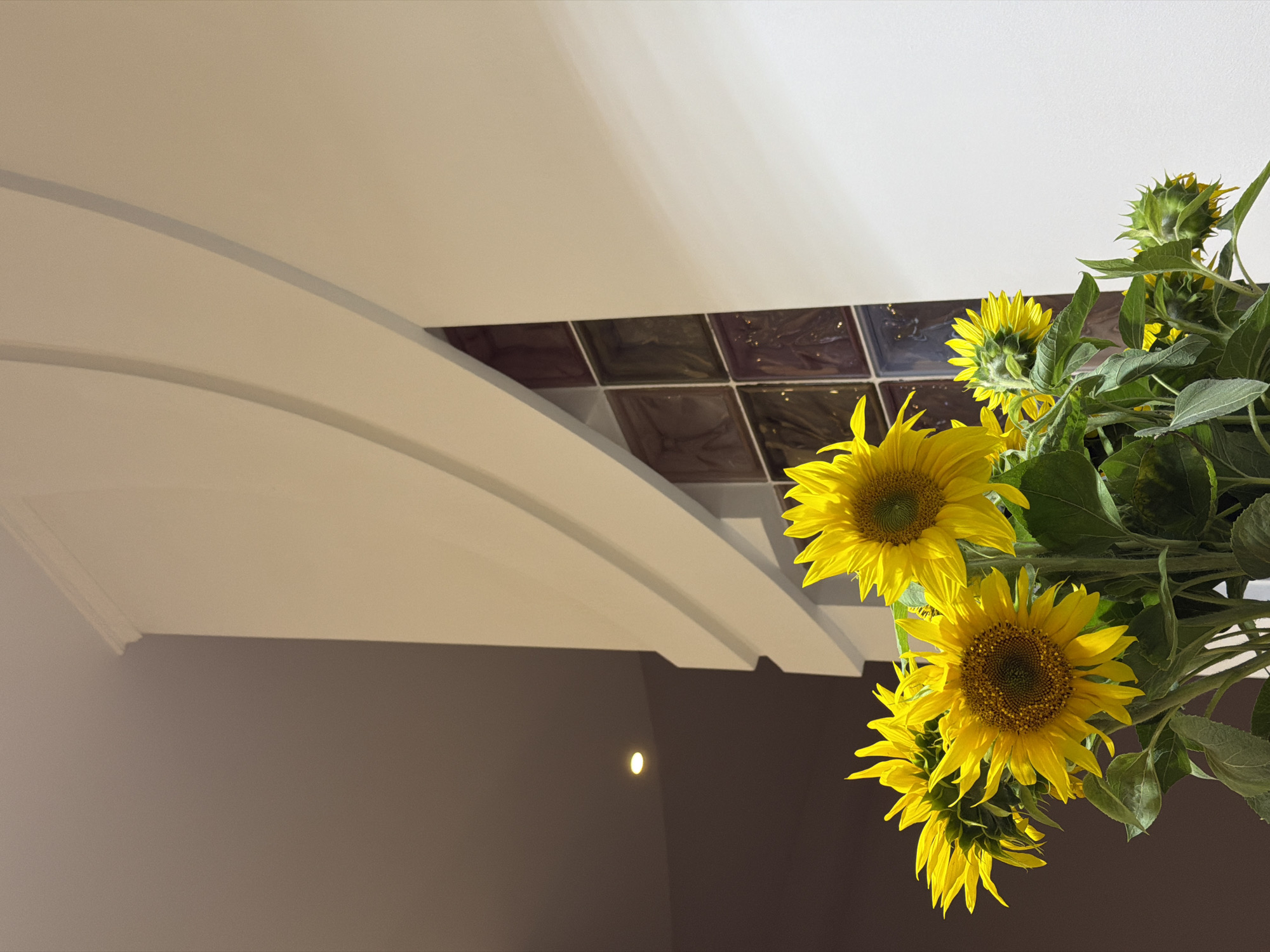 Sunflower bouquet photographed across an evening in Khmelnytskyi