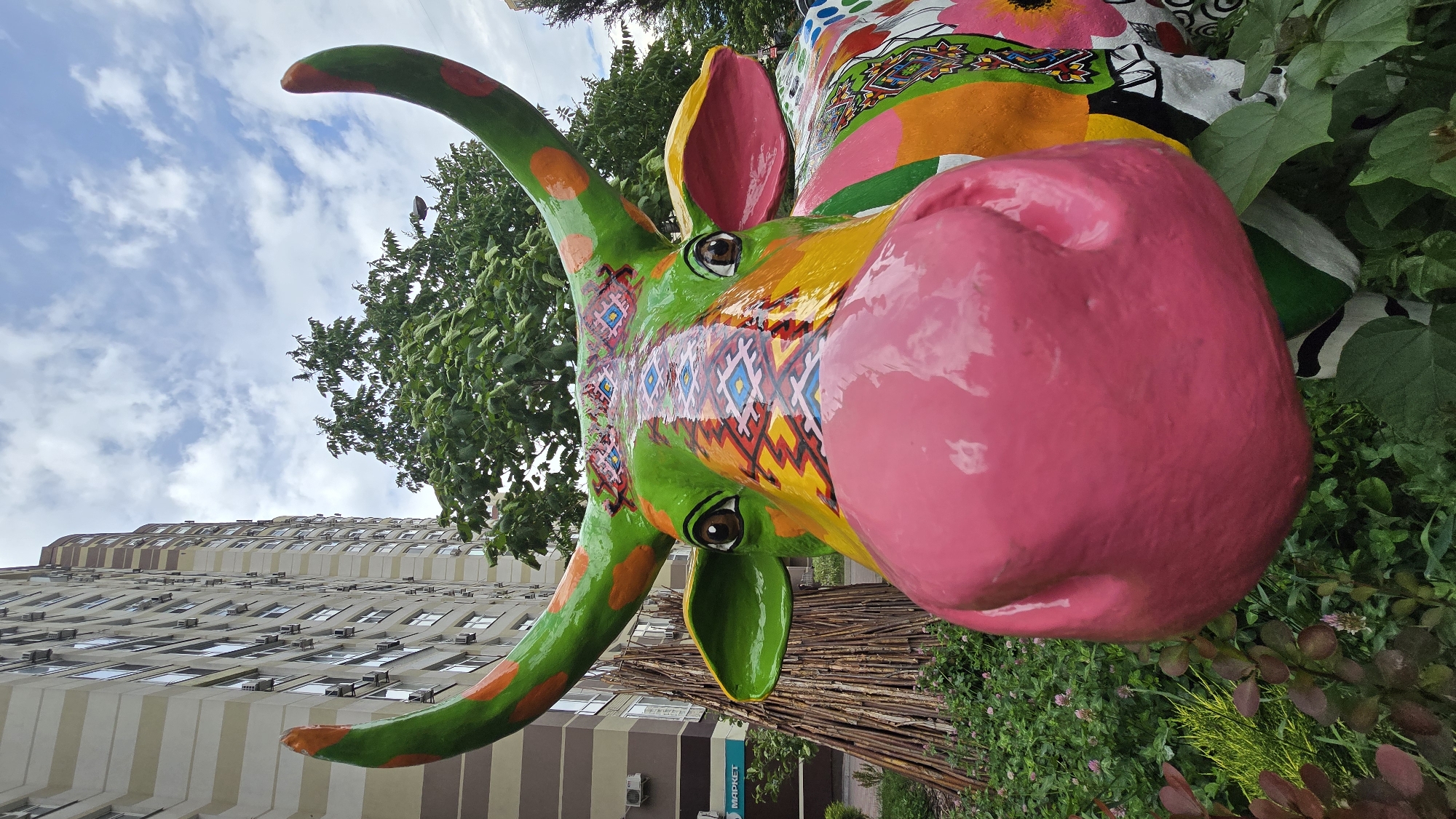 Kyiv resident captures colorful street art and urban wildlife