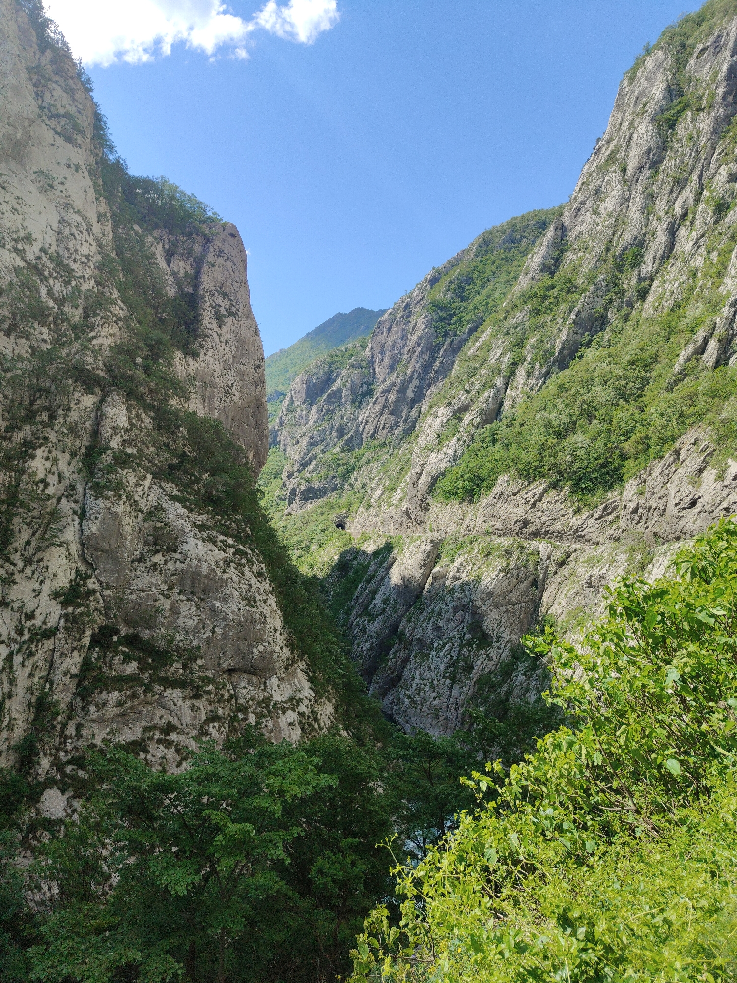 Canyon landscape documented in Vlahovići, Montenegro