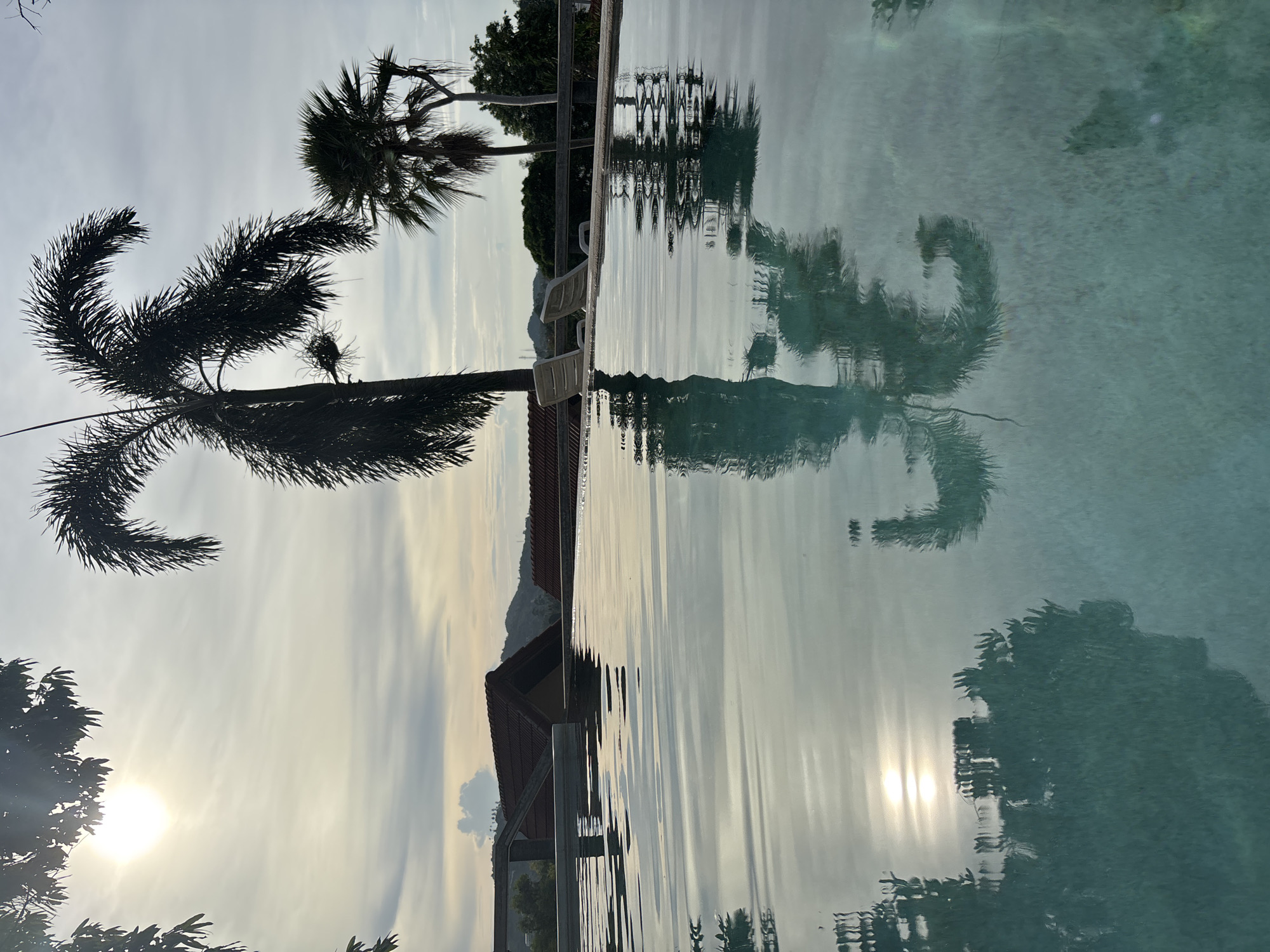 Lazy morning at a Ban Bang Rak infinity pool, Koh Samui