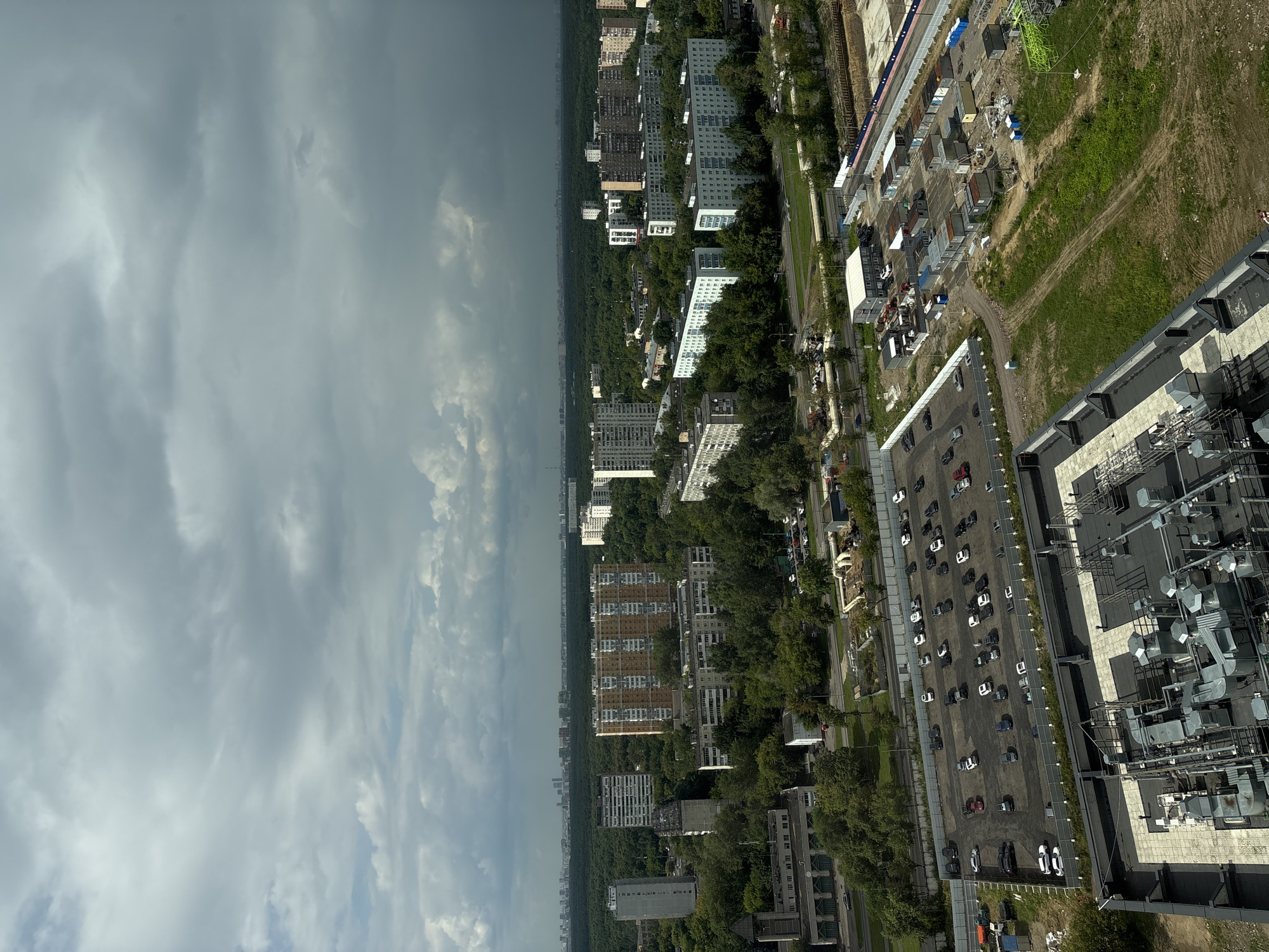 Moscow parrot steals the show on a cloudy afternoon
