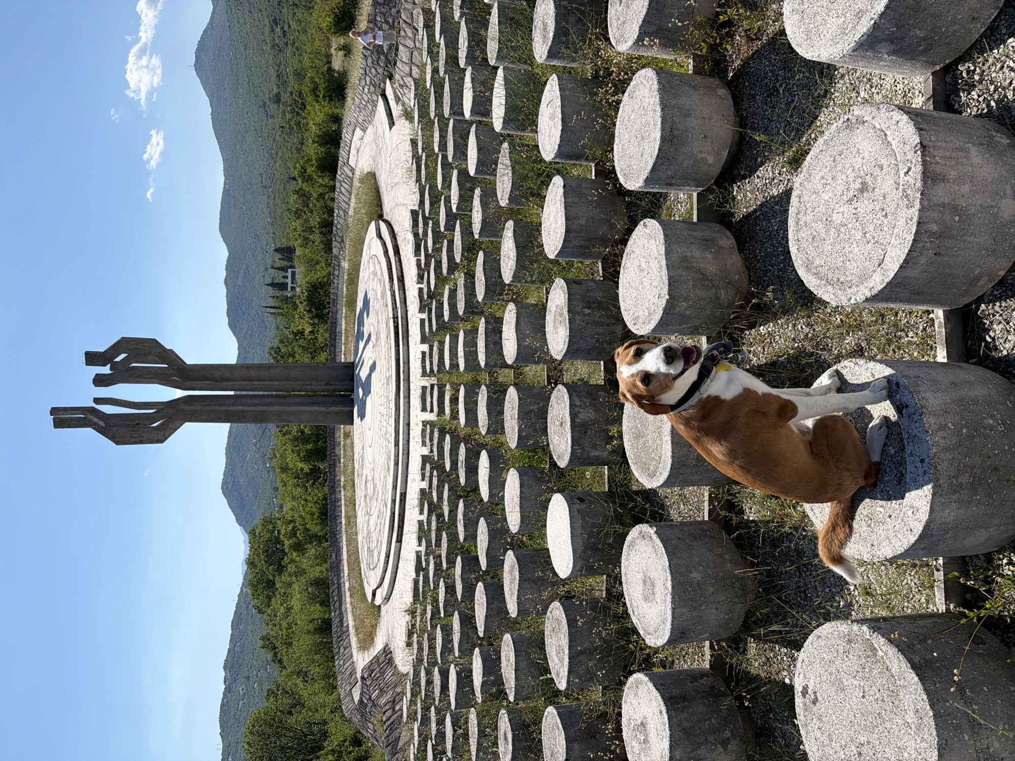 Dog spotted at concrete monument in Liješnje, Montenegro