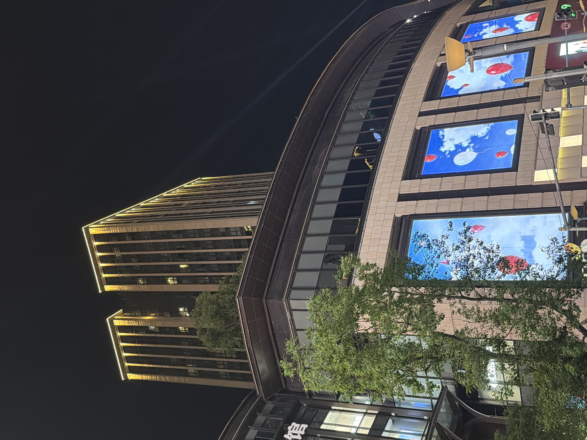 Mixed urban scenes and flora documented in Yuzhong District