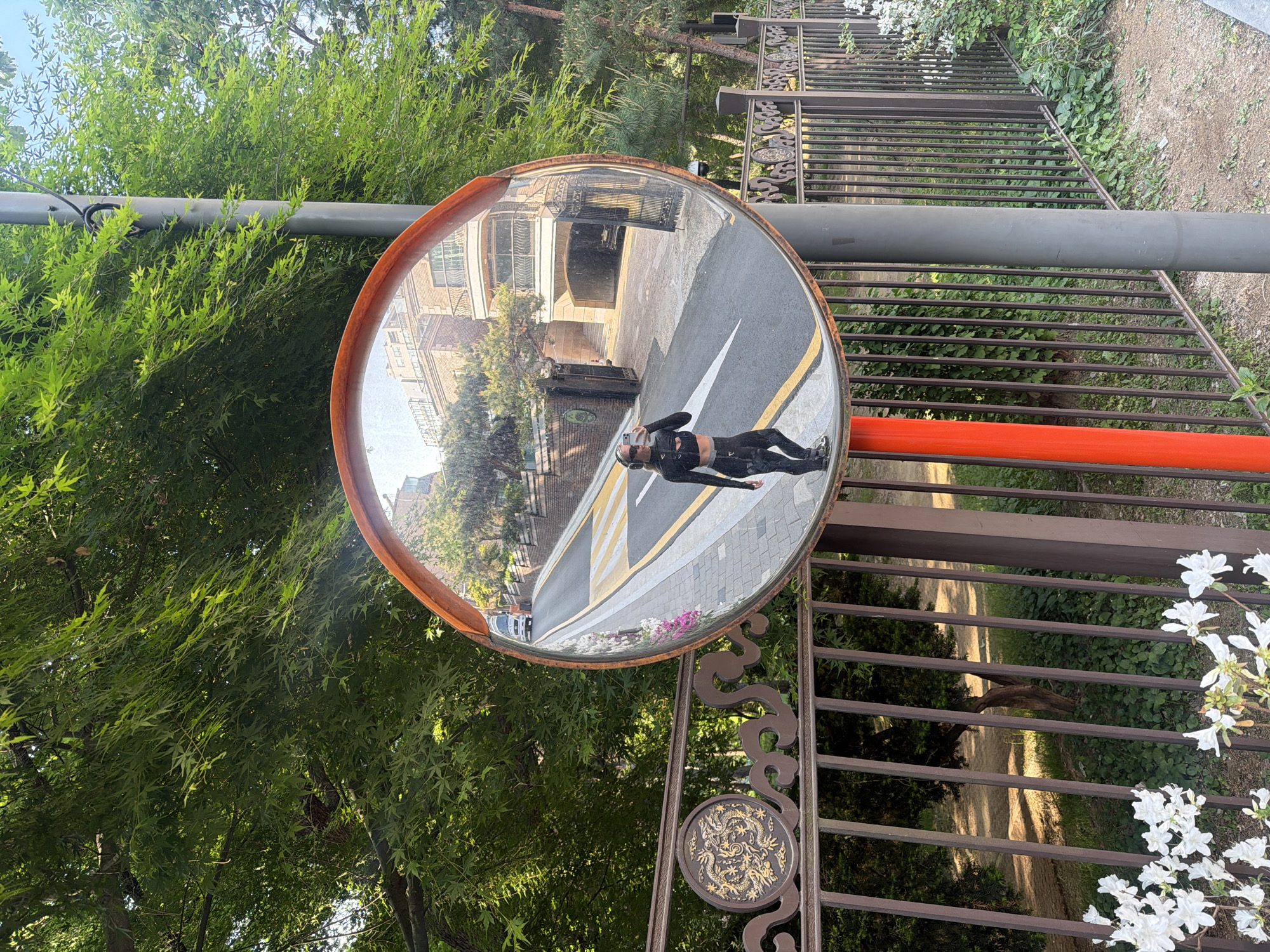 Traffic safety mirror spotted near decorative dragon fence in Seoul