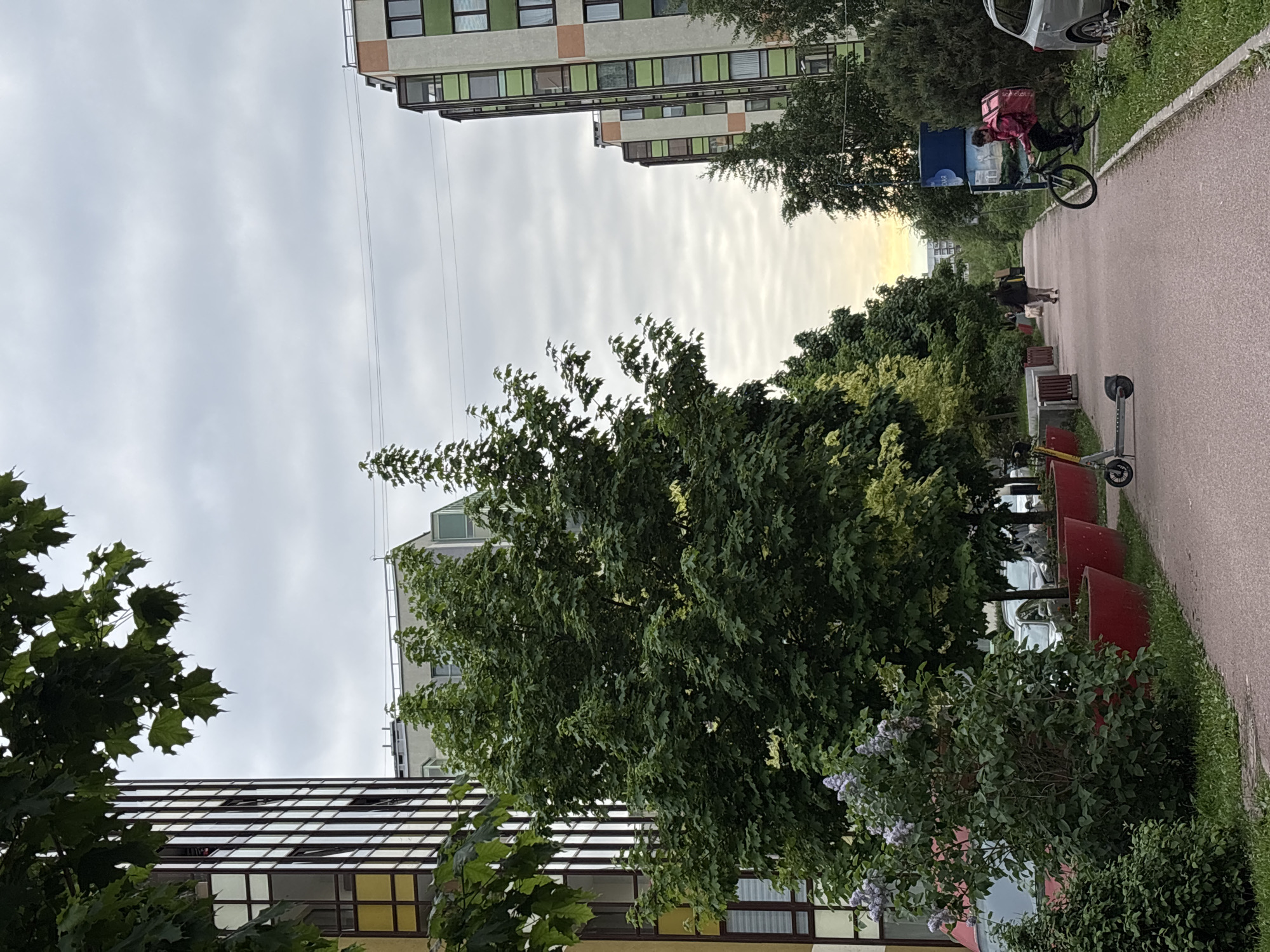 Afternoon stroll through Kudrovo captures residential area and bakery visit