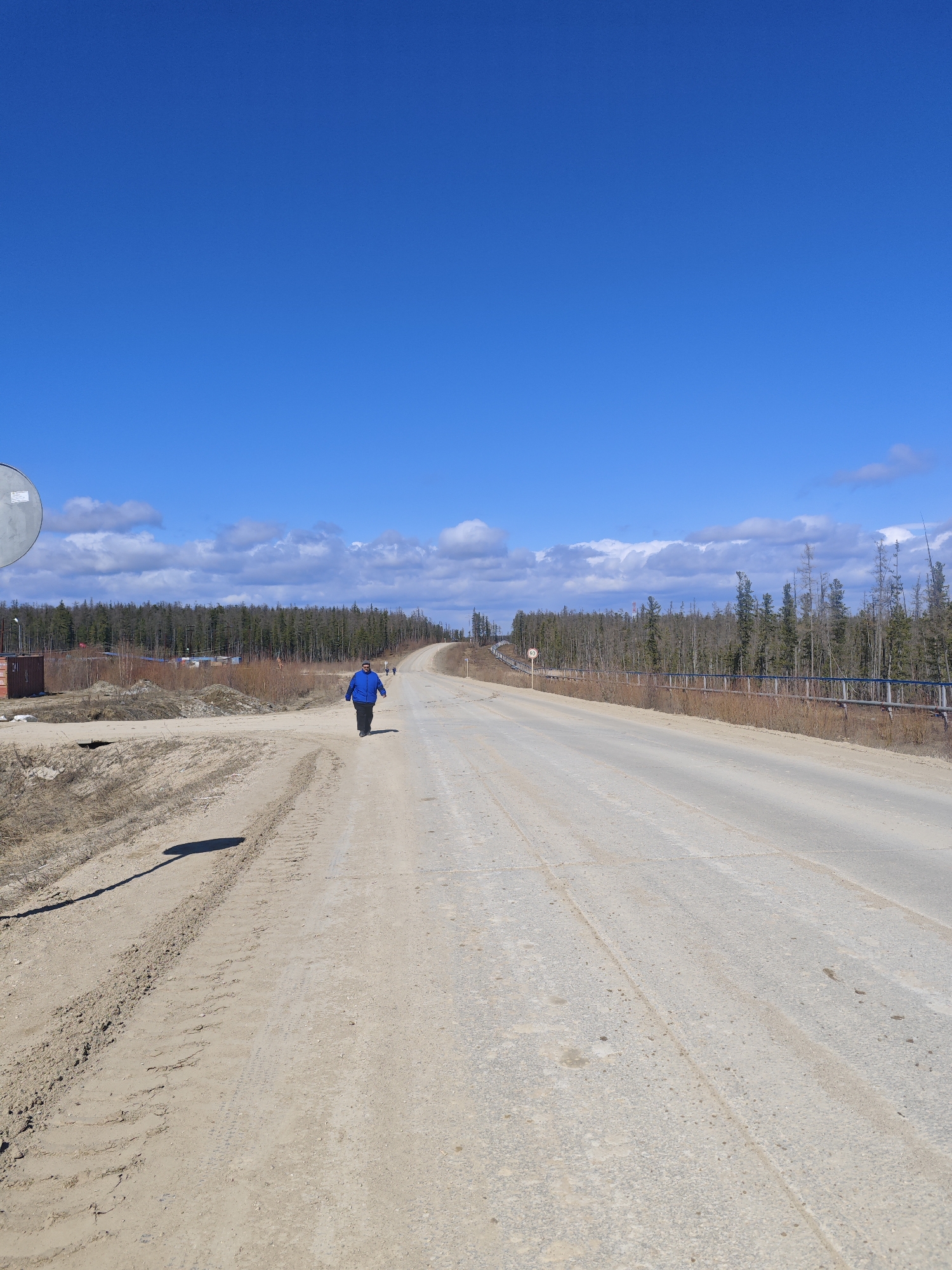 Rural Russia moments: walker on dirt road, dog resting