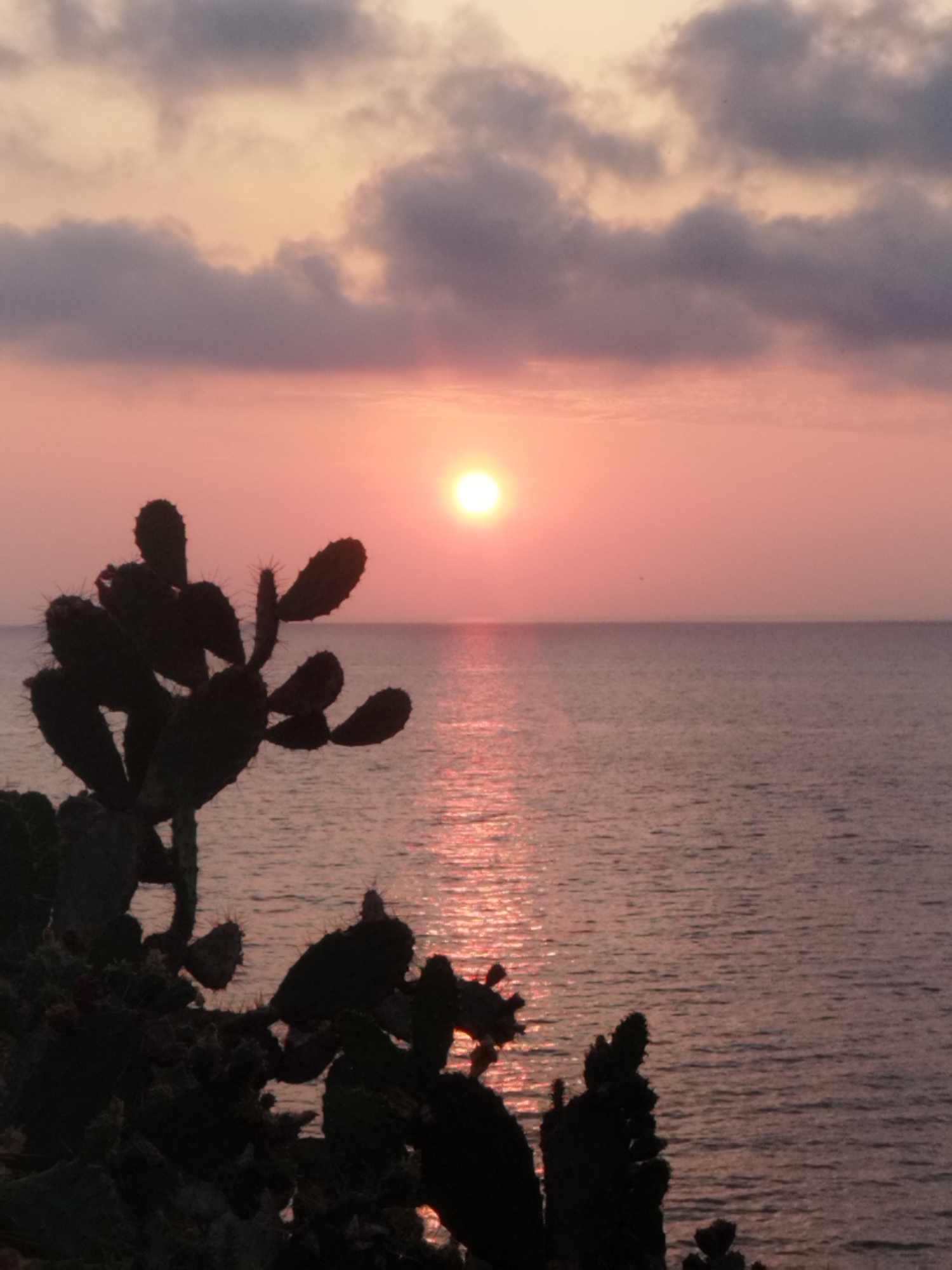 Mediterranean sunset and coastal scenes around Antibes