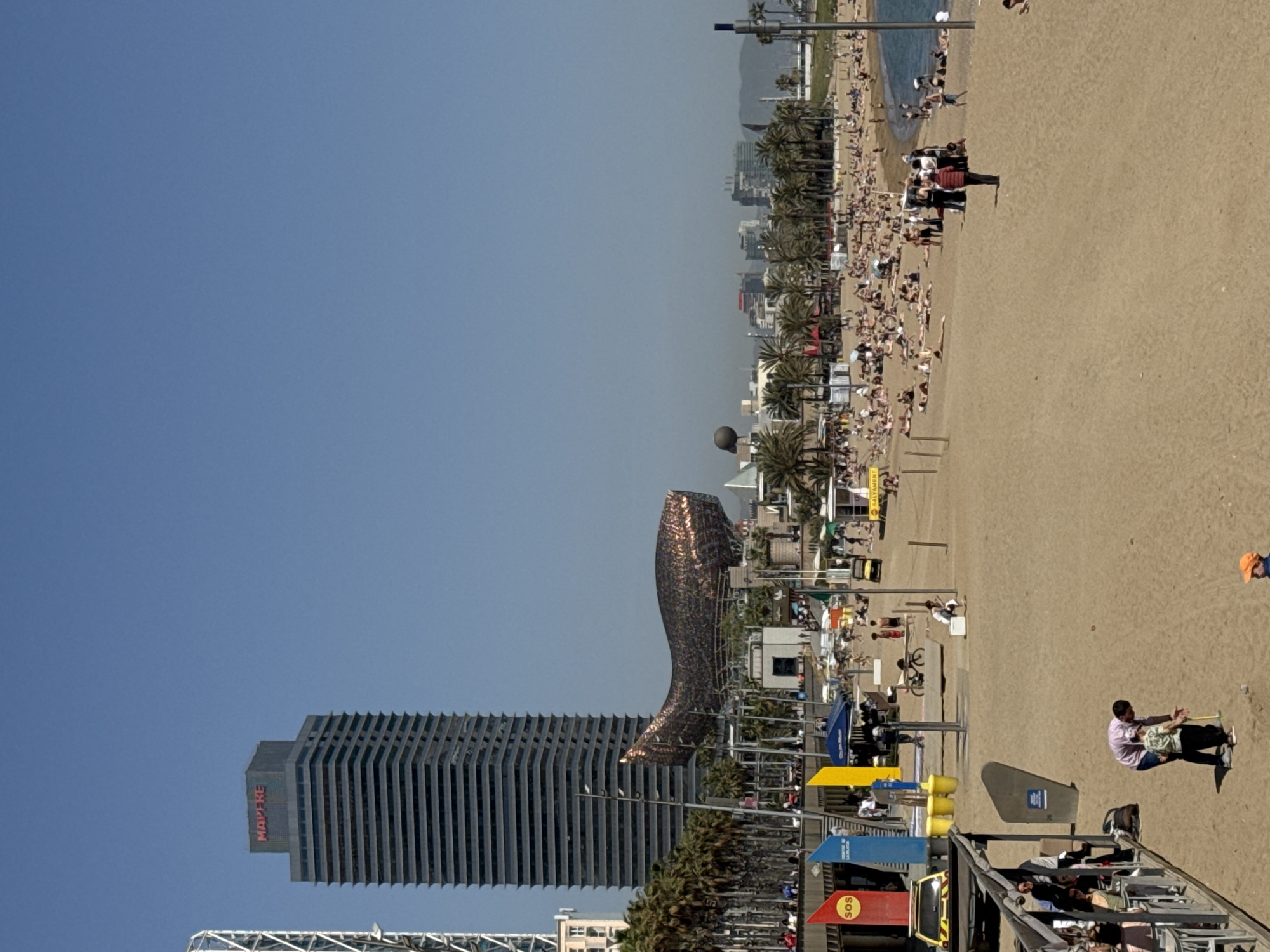 Morning snapshots capture everyday Barcelona park and boardwalk scenes
