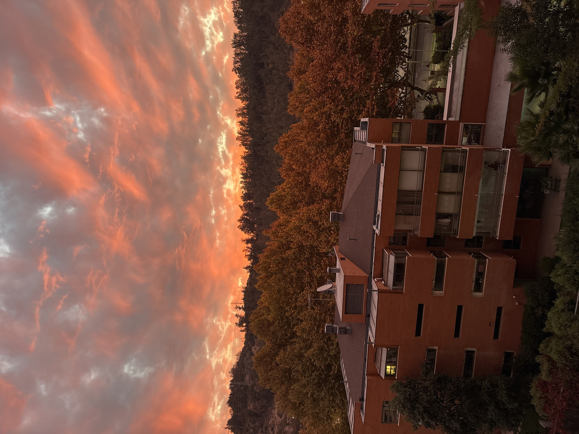 Evening sunset and autumn street scenes documented in Vitacura