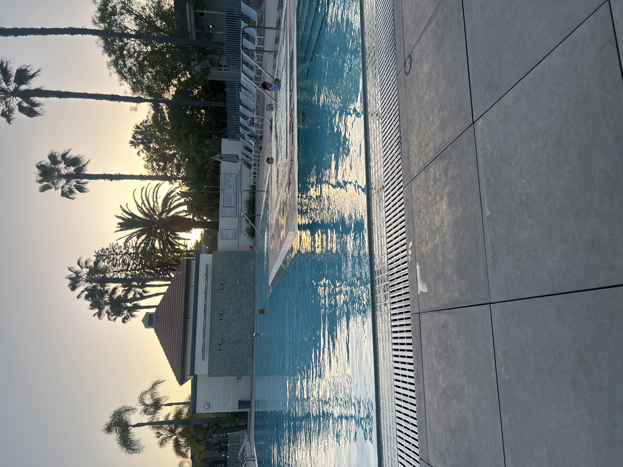 Peaceful pool scene photographed in Los Angeles evening light