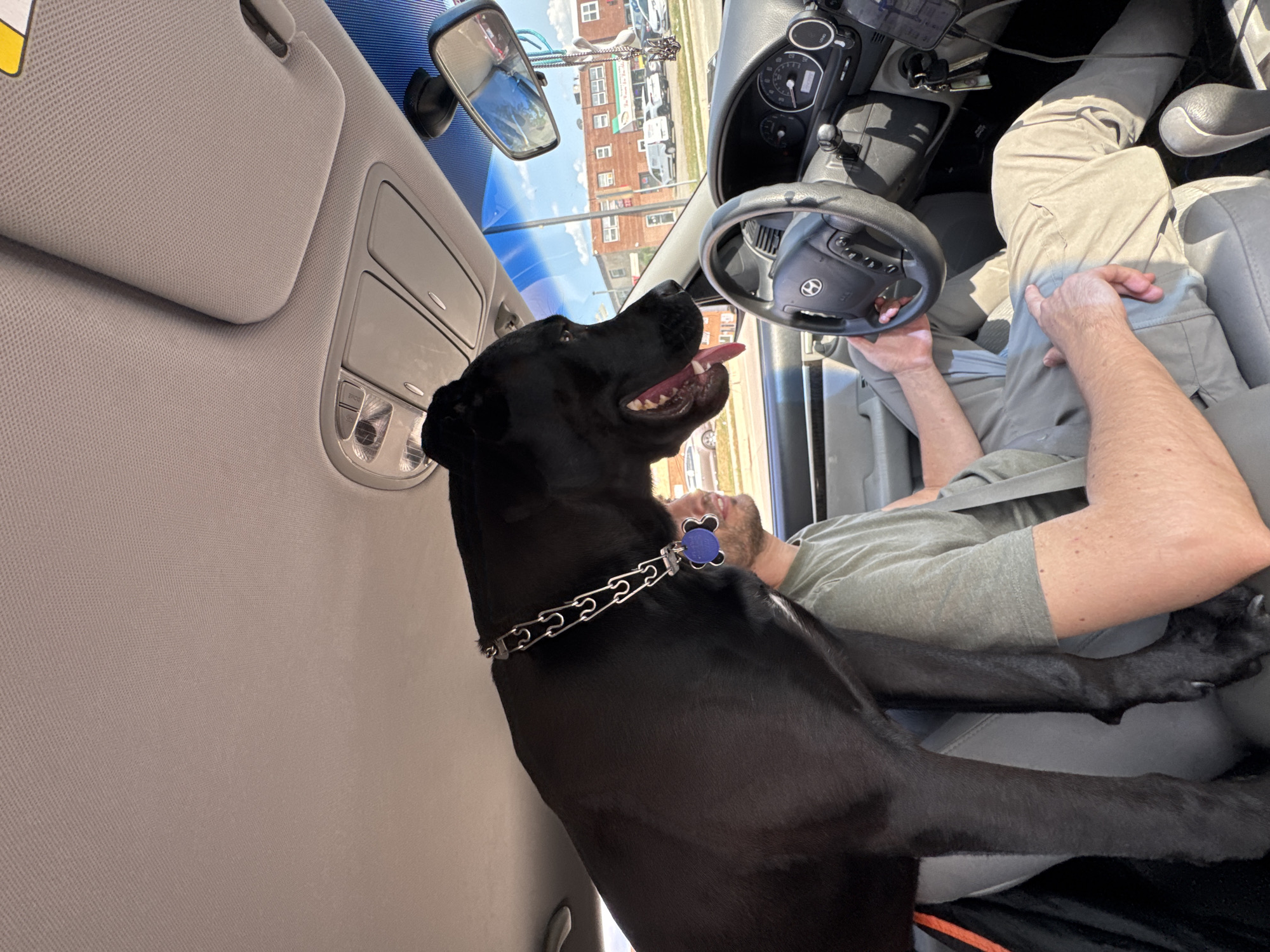 Black dog along for the ride in Wheeling