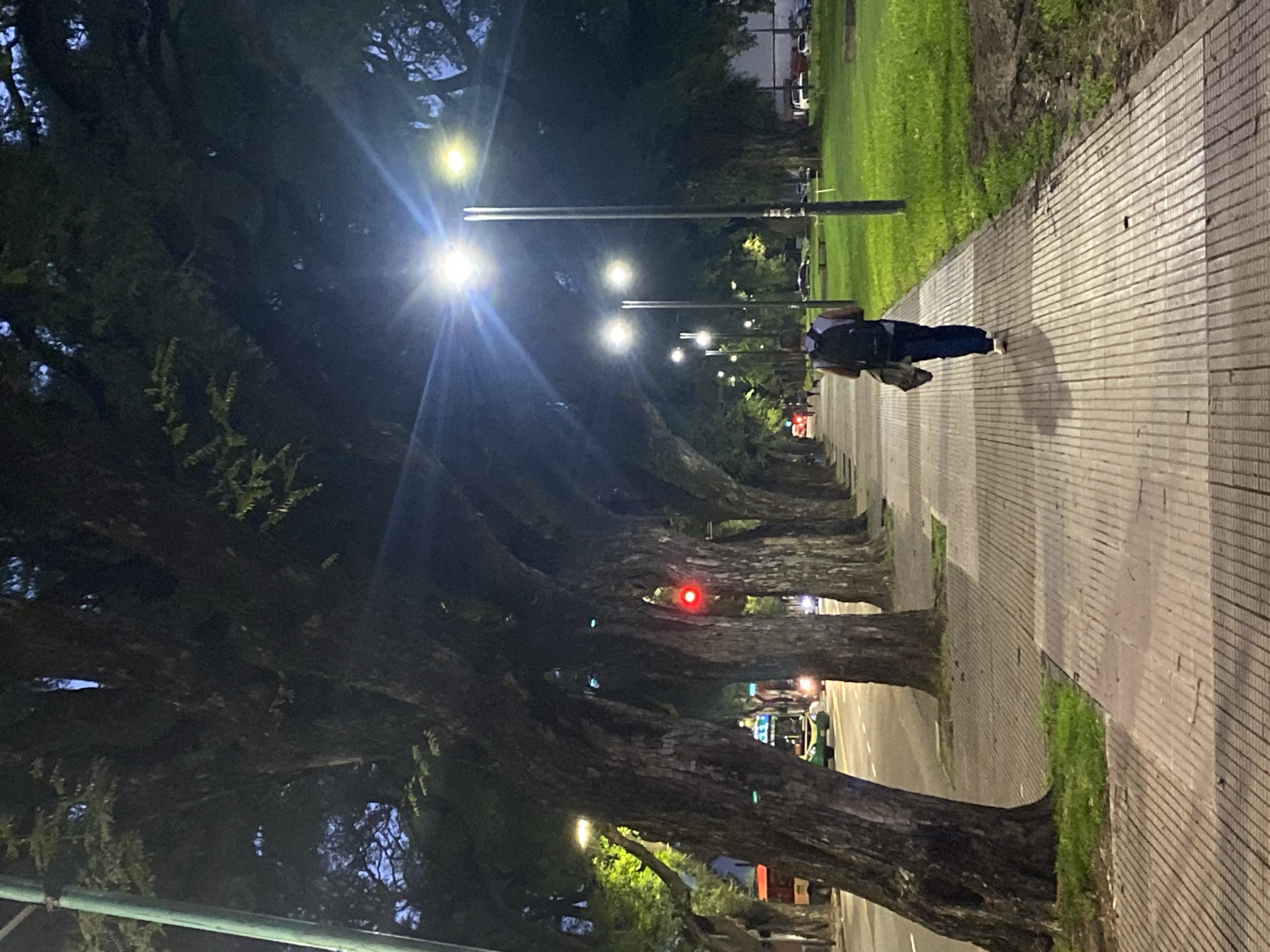 Evening pedestrian and cyclist activity observed in Buenos Aires