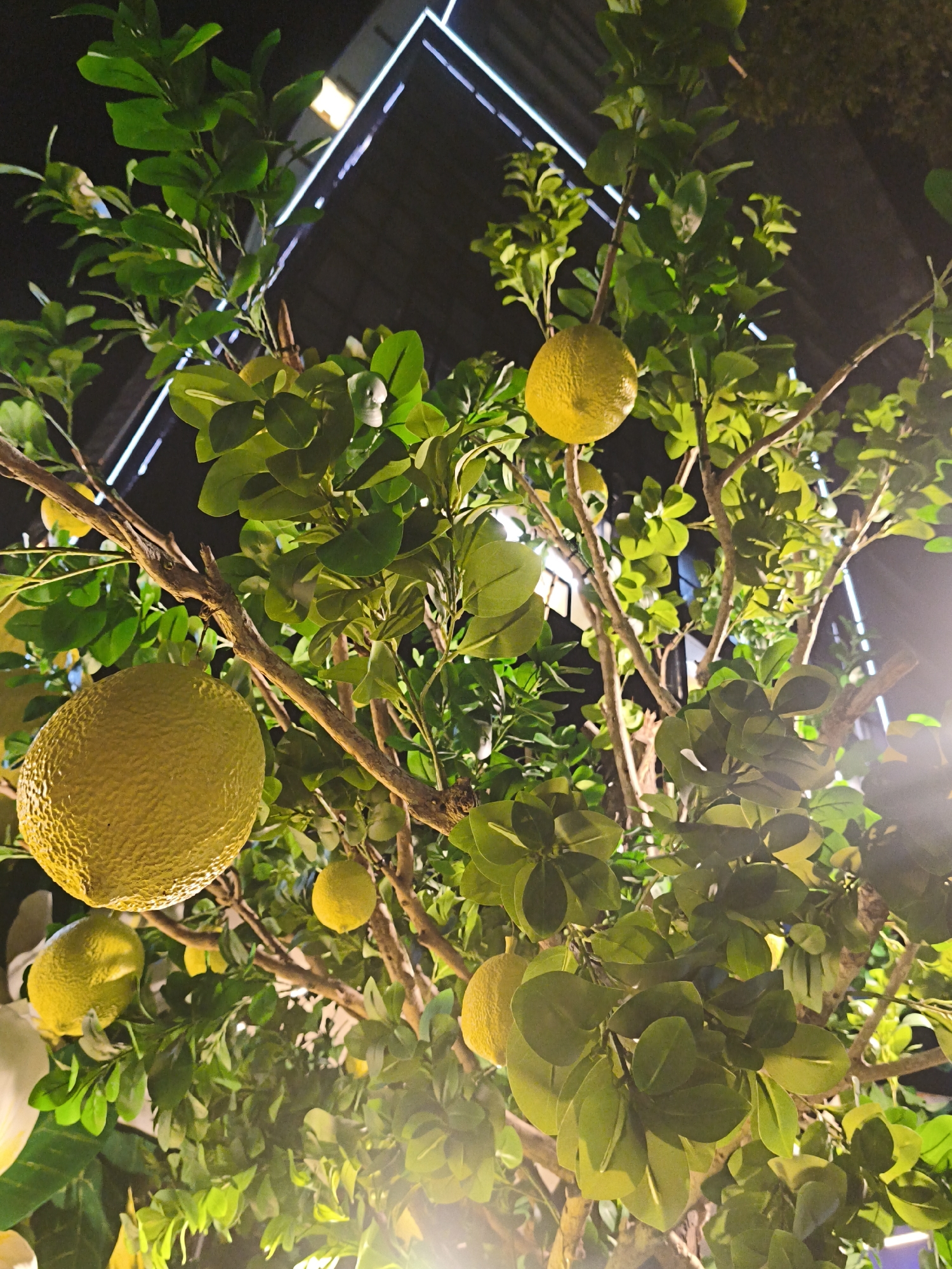 Night out around Goldcoast Shopping Mall in Nha Trang