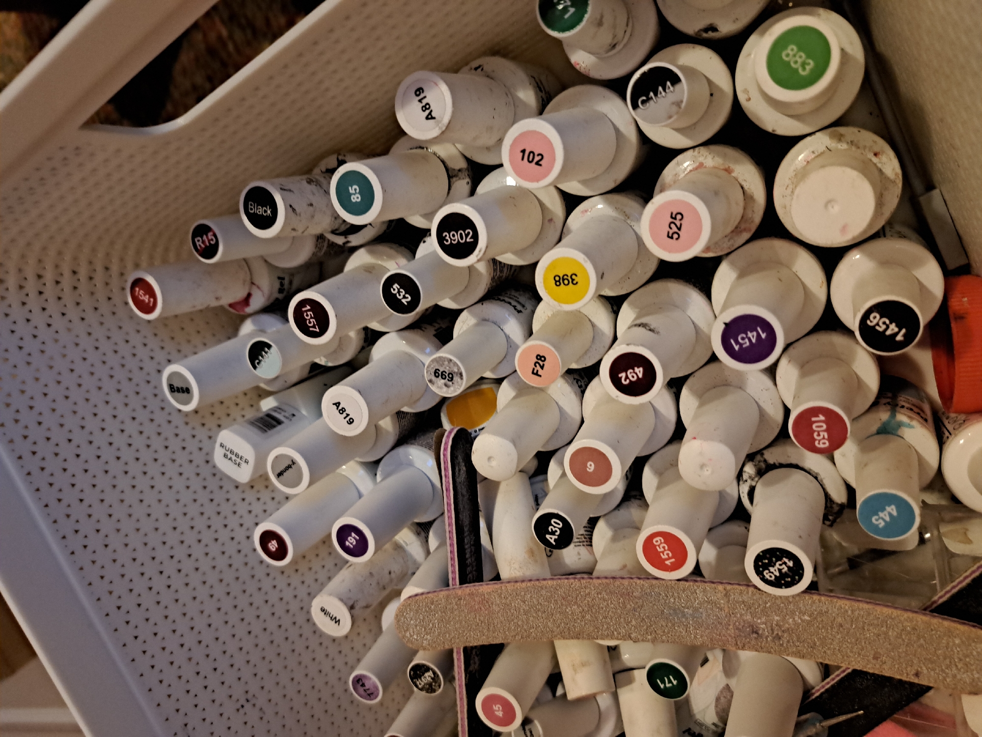 Nail artist documents ladybug manicure session in Bulgarian village