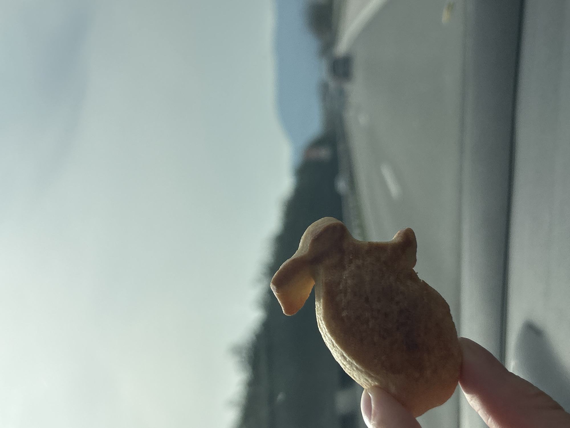 Animal-shaped cookies displayed during travel in Церово, Bulgaria