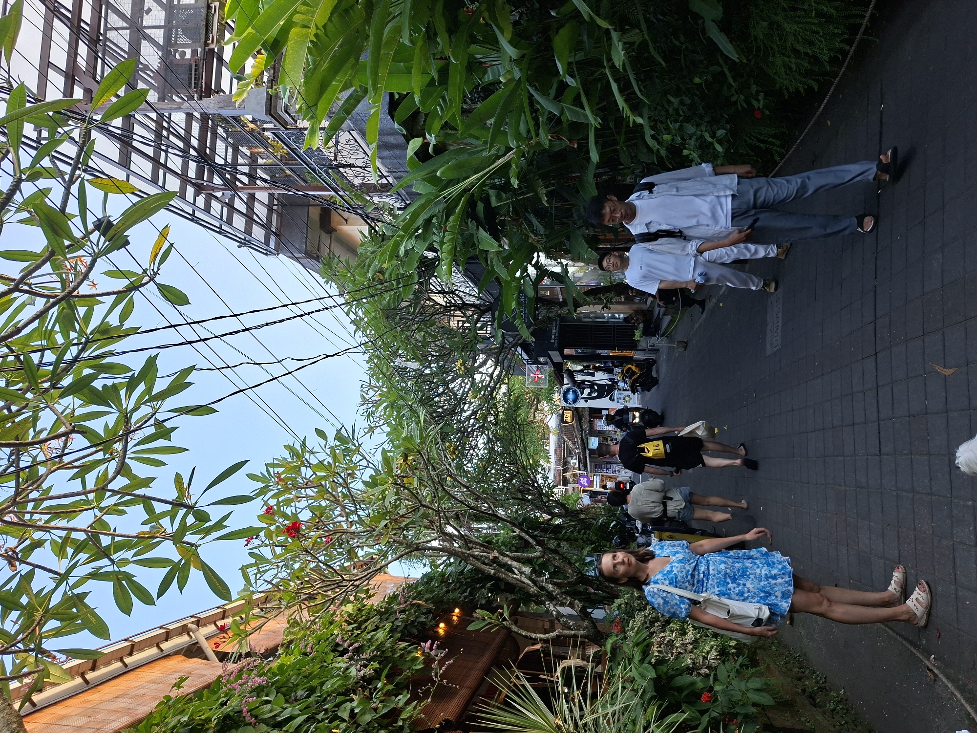 Daily life moments captured across Ubud District, Indonesia