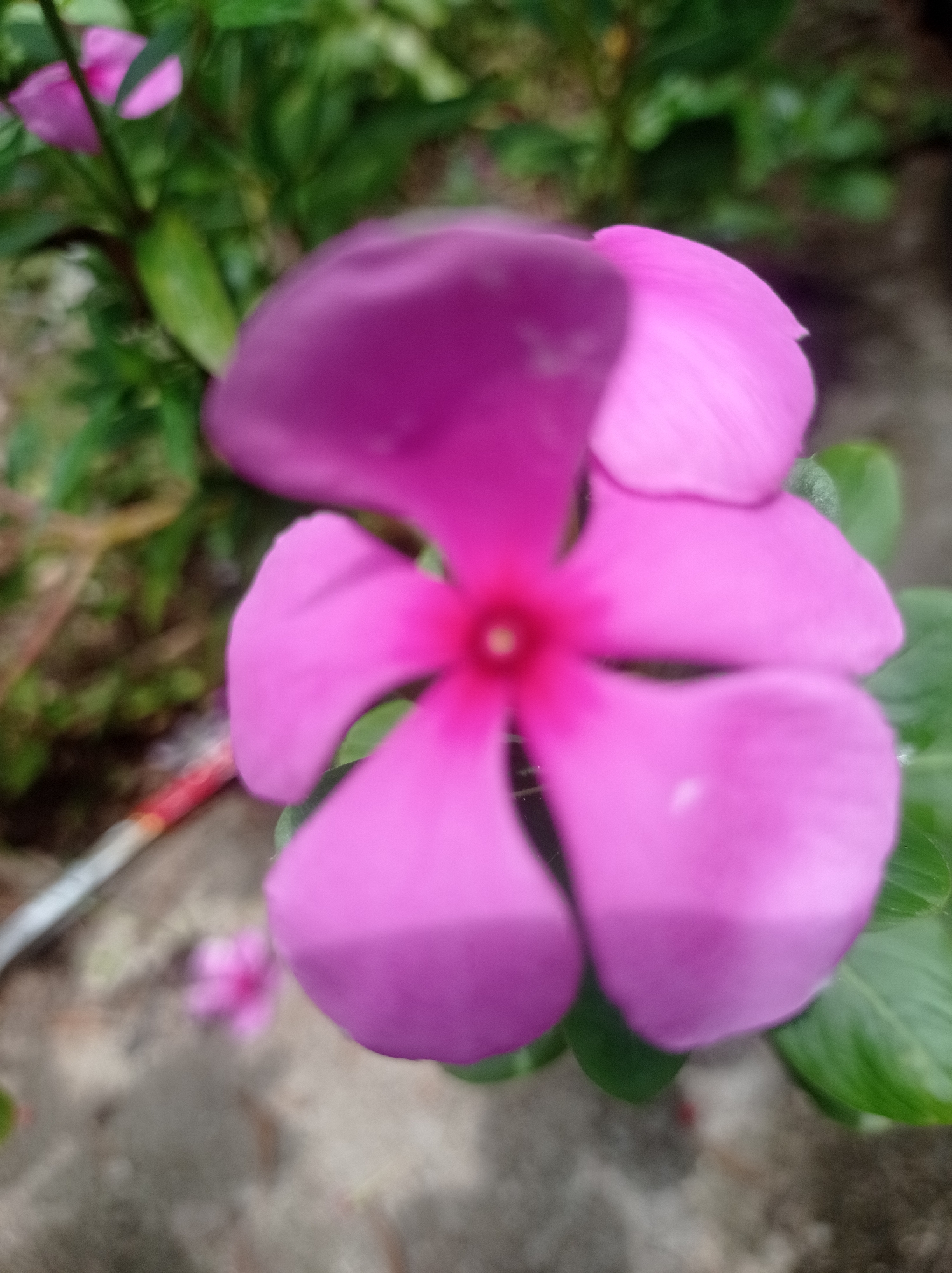 Baratpayaitek, Indonesia