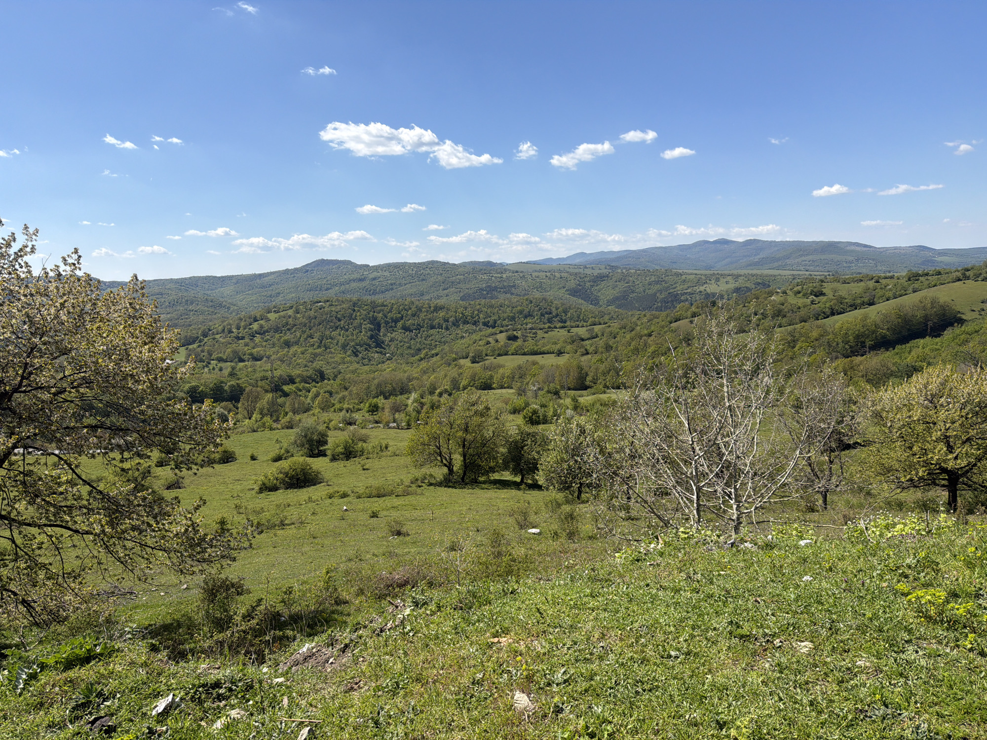 Spring landscape documented in Kotel region, Bulgaria
