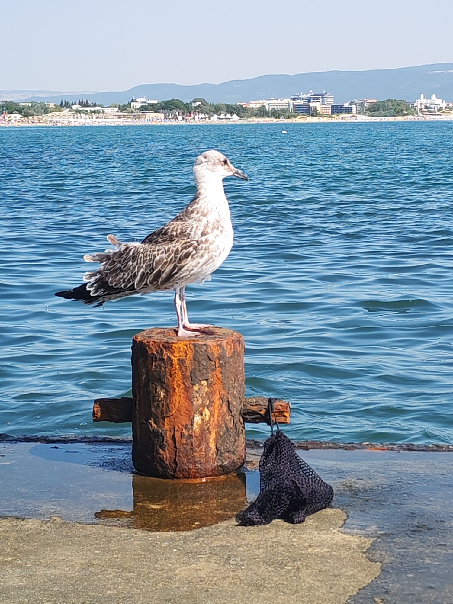 Nesebar, Bulgaria