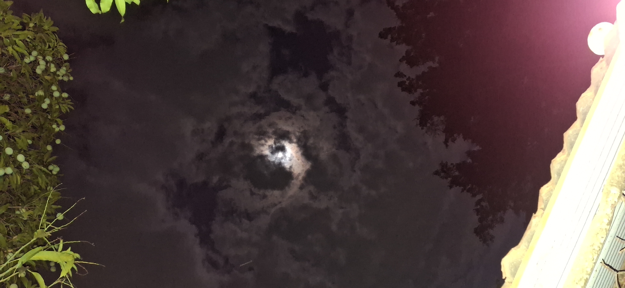 Nighttime nature observations in Vallecito include toads, moon views